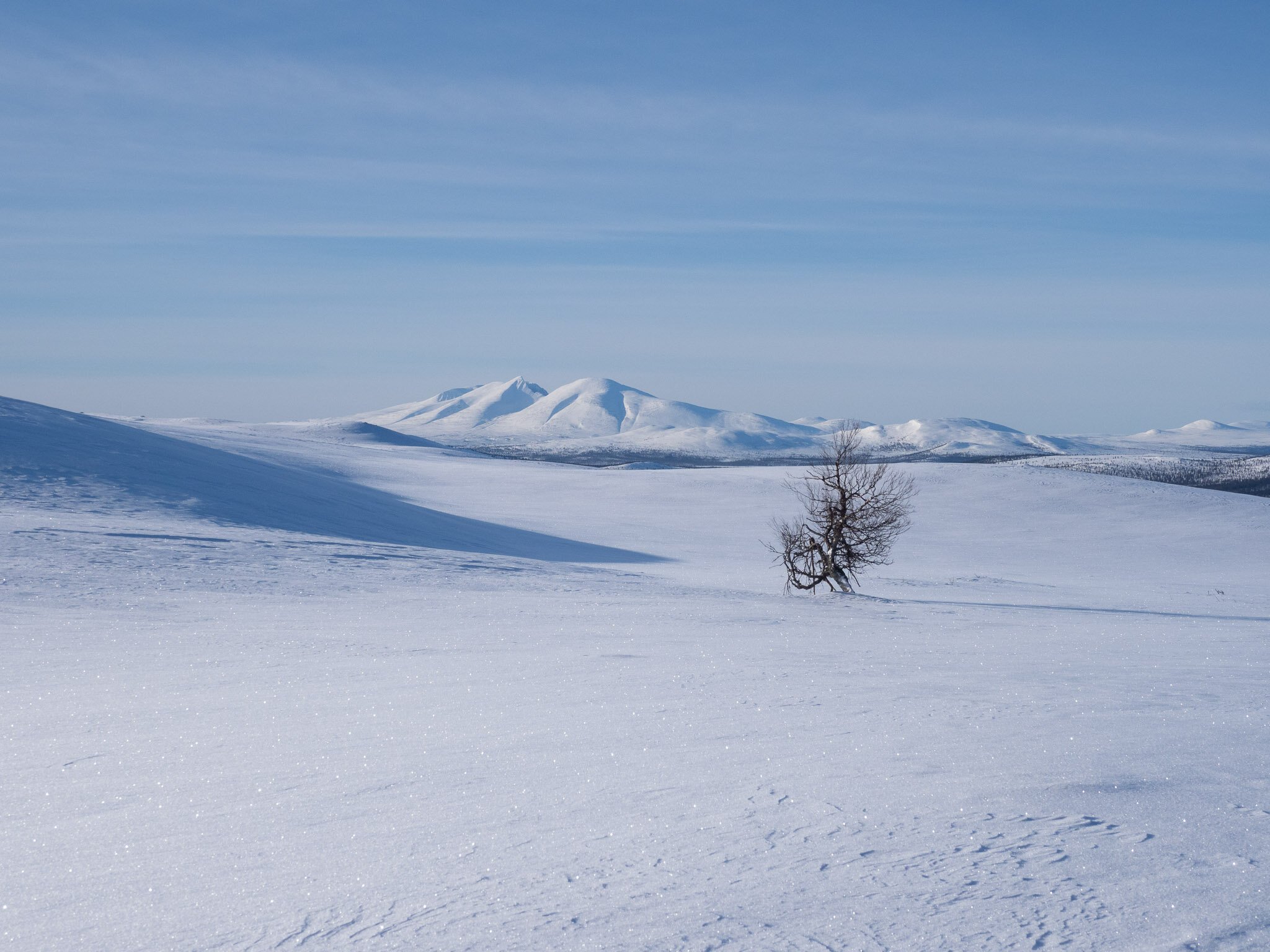 Gode snøfohold i Engerdal