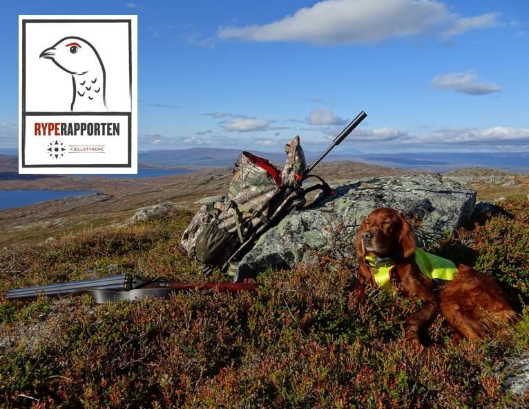 Tid for å planlegge småviltjakta 2020