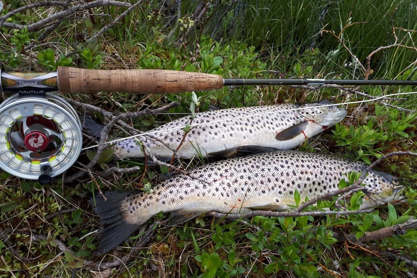 Avlyst- Velkommen til innlandsfiskeseminar 17.-18. april