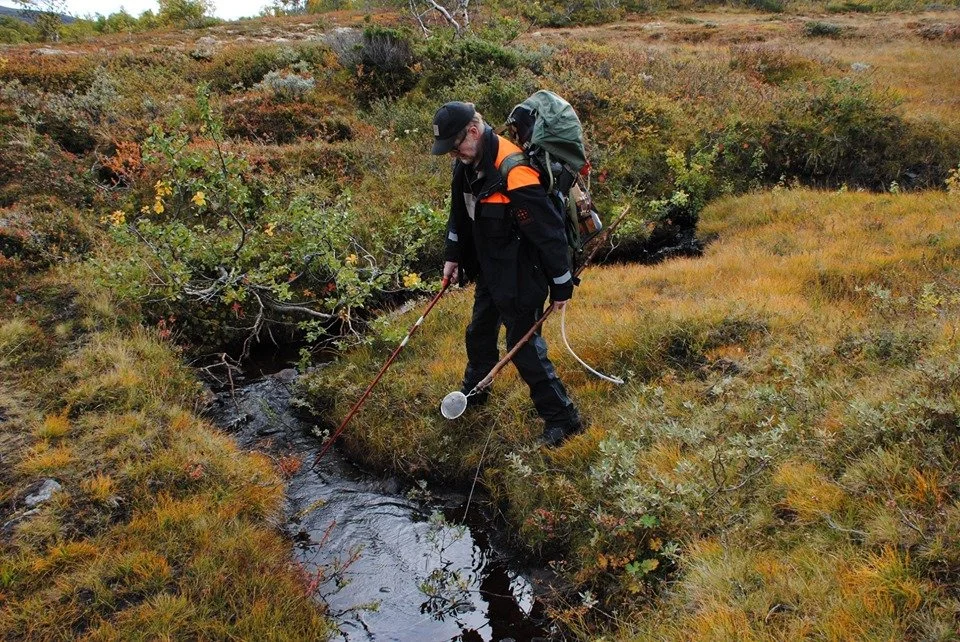 Ledig stilling som Fjelloppsyn