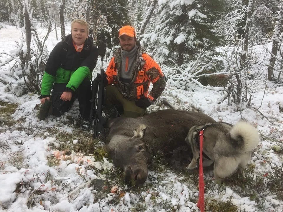 Opplæringsjakt hos Gausdal fjellstyre 2019