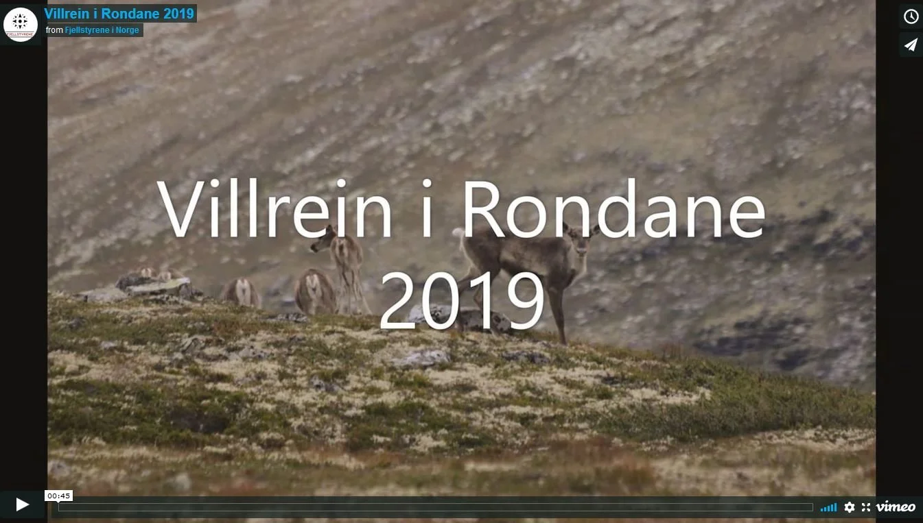 Senhøst og parringstid