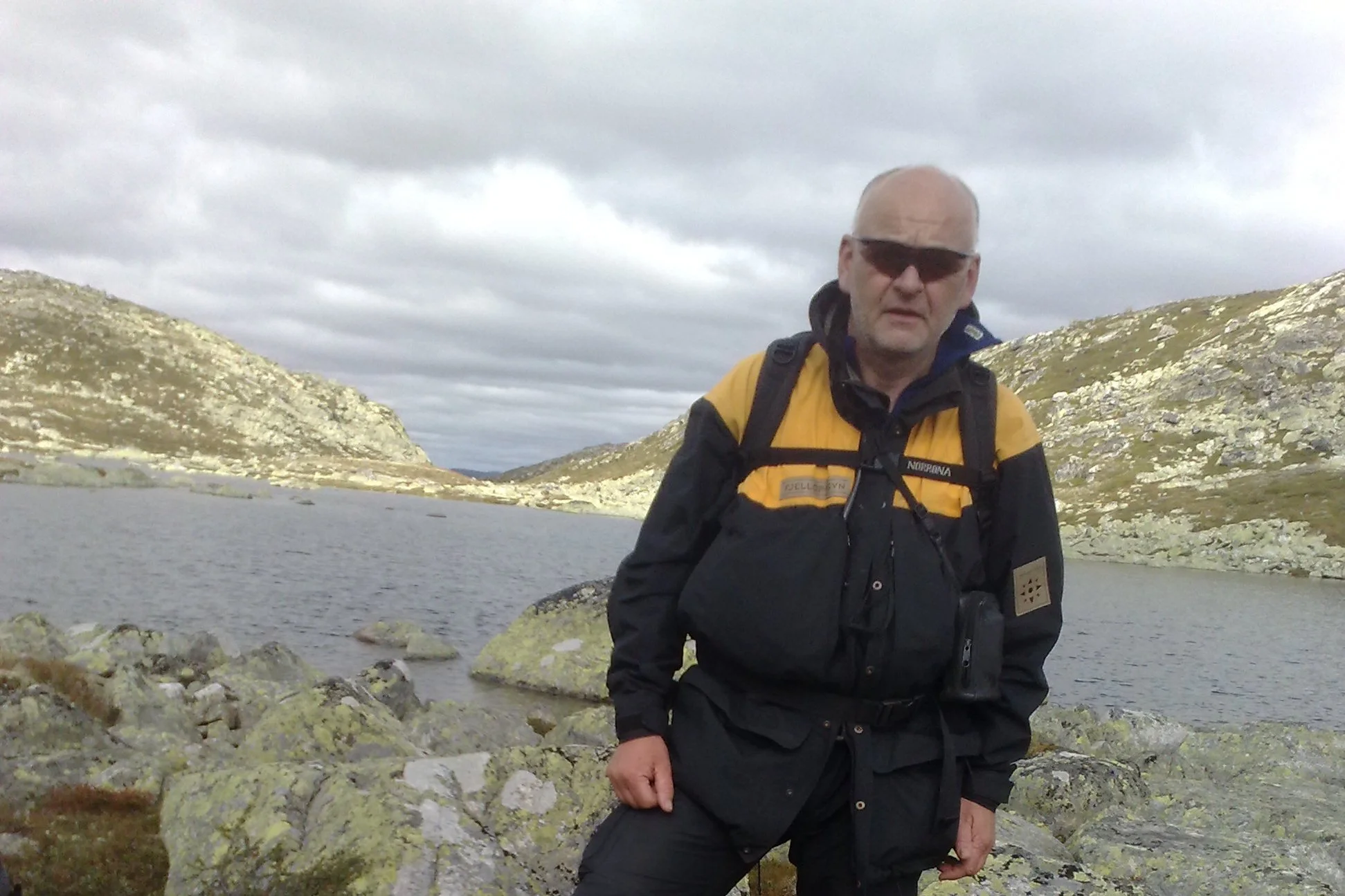 100 storbukk i Øvre Numedal