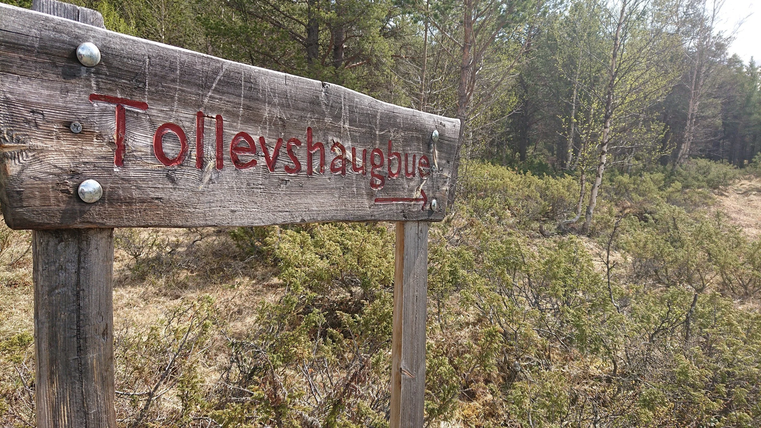 Til Tollevshaugbua – Skilt til ei av fjellstyrets hytter, tilgjengelig for leie på inatur. Hytta ligger nær grense til Folldal
