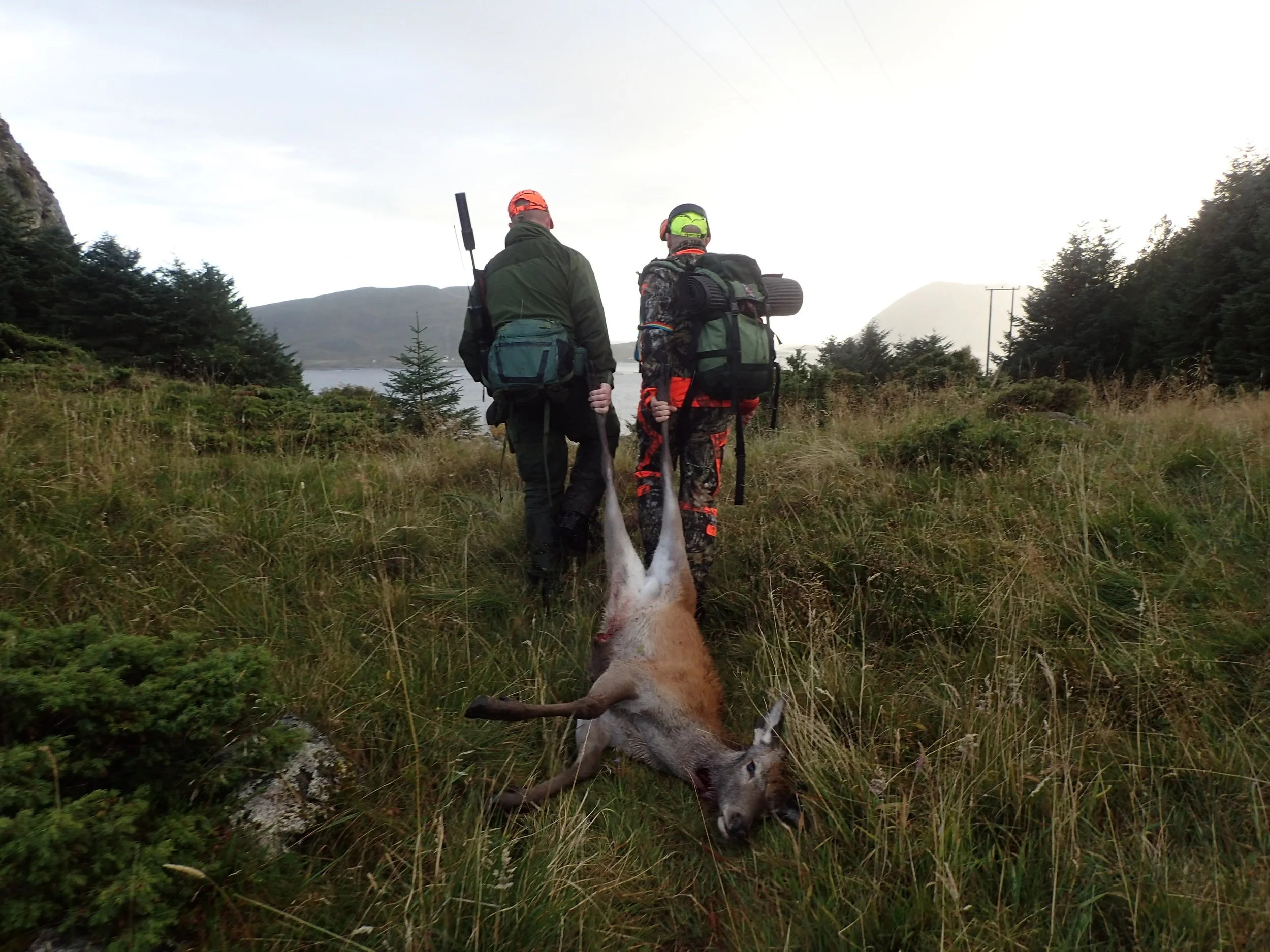 Elg- og hjortejakta er trukket