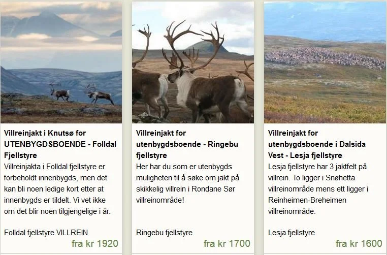 Har du søkt villreinjakt?