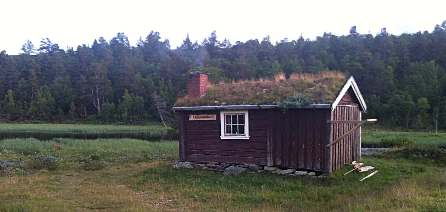 Ny fjellov – høring