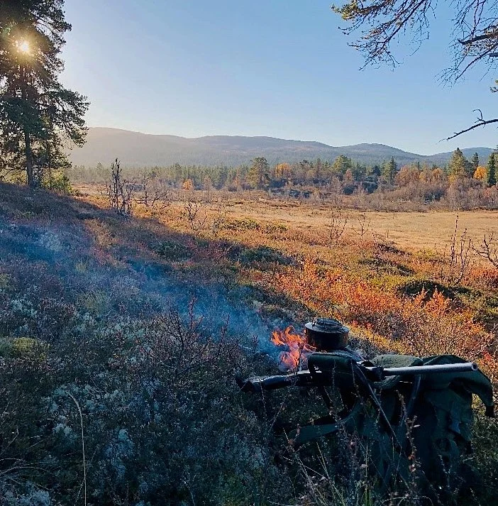 Mye elg, men ingen fall