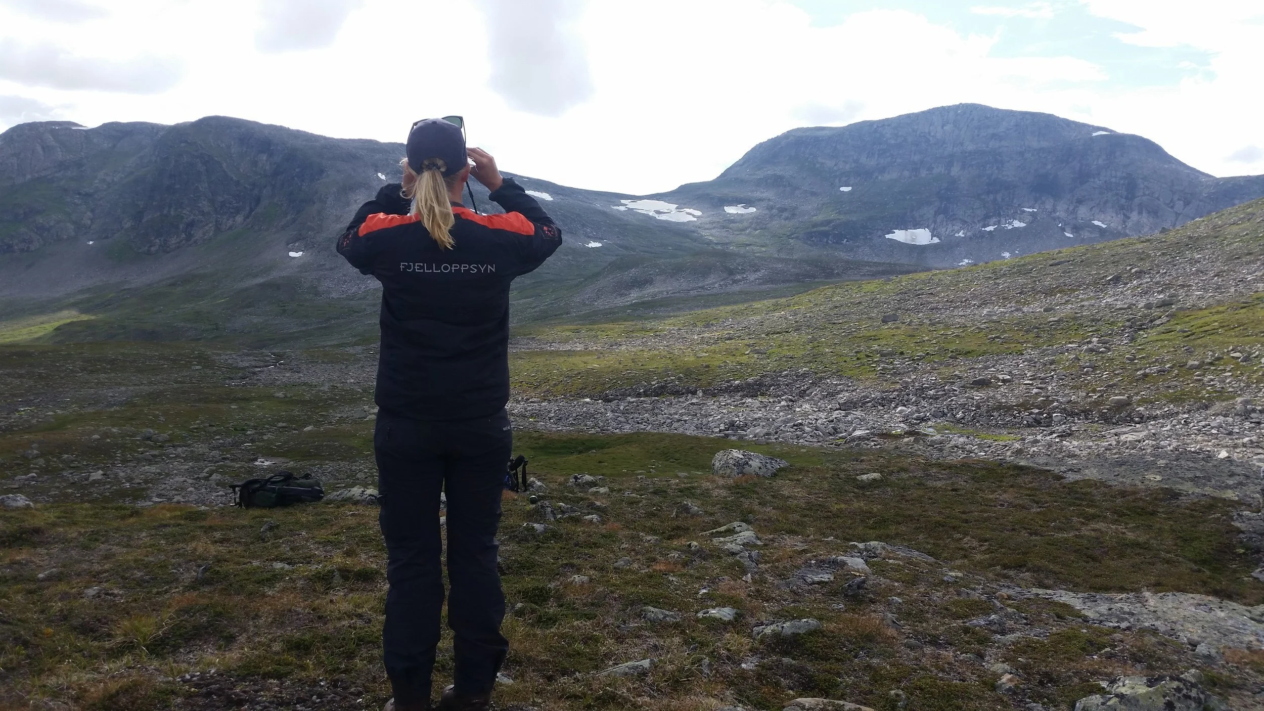 Ville, vakre Børgefjell