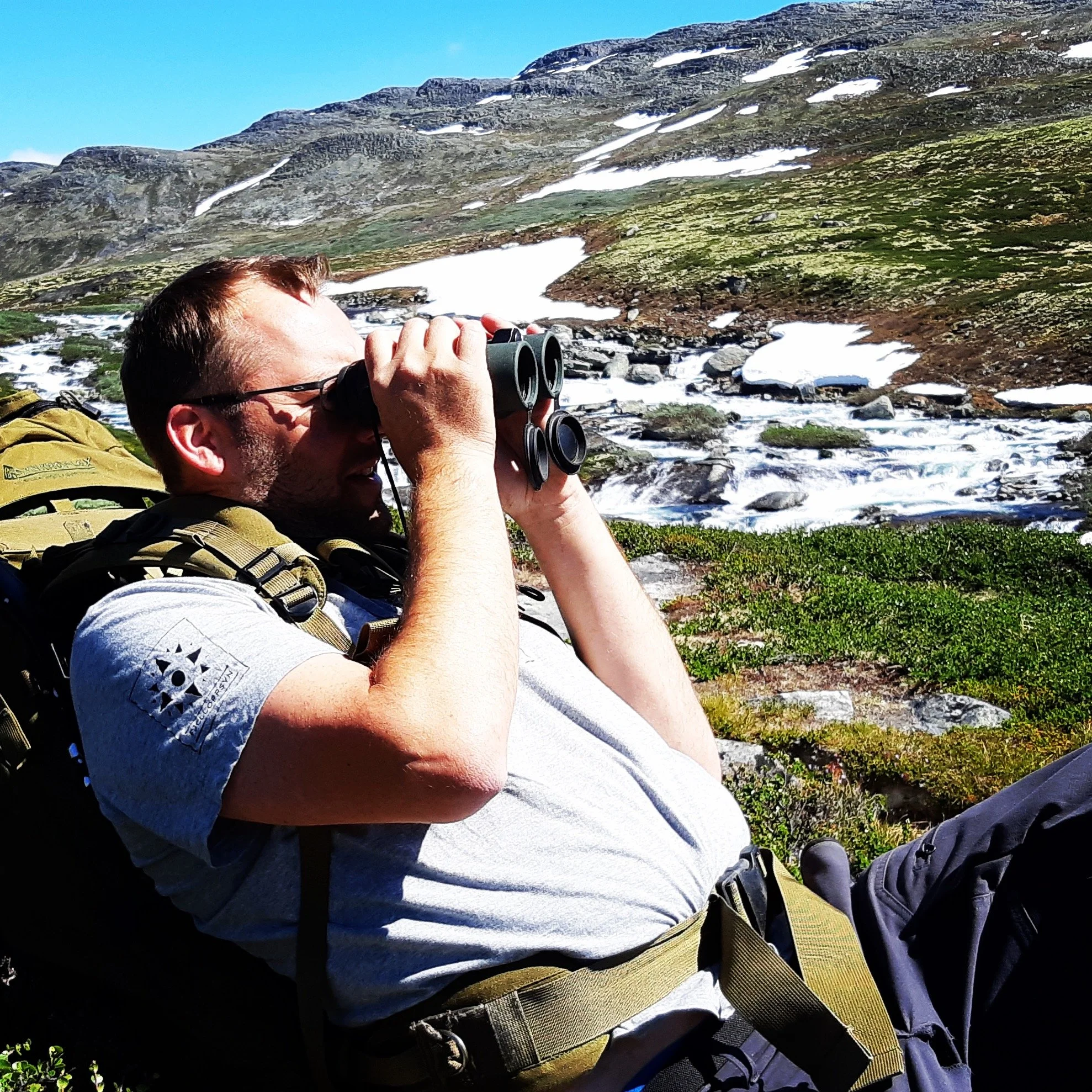 Vårrapport fra Dovrefjell 