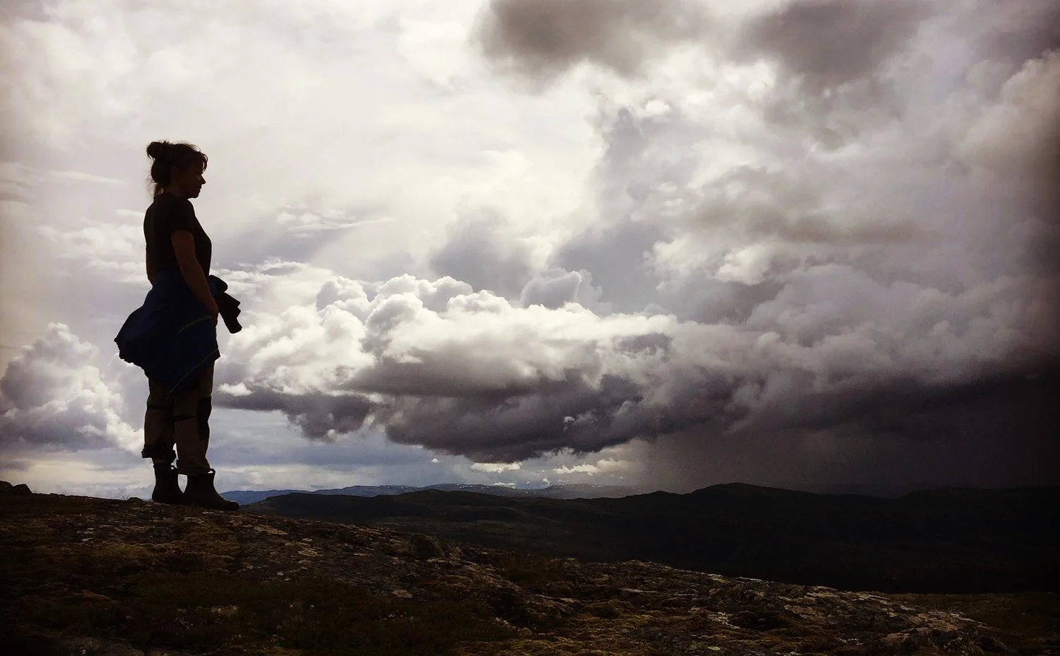 Arbeiderpartiet vil styrke fjellstyrene