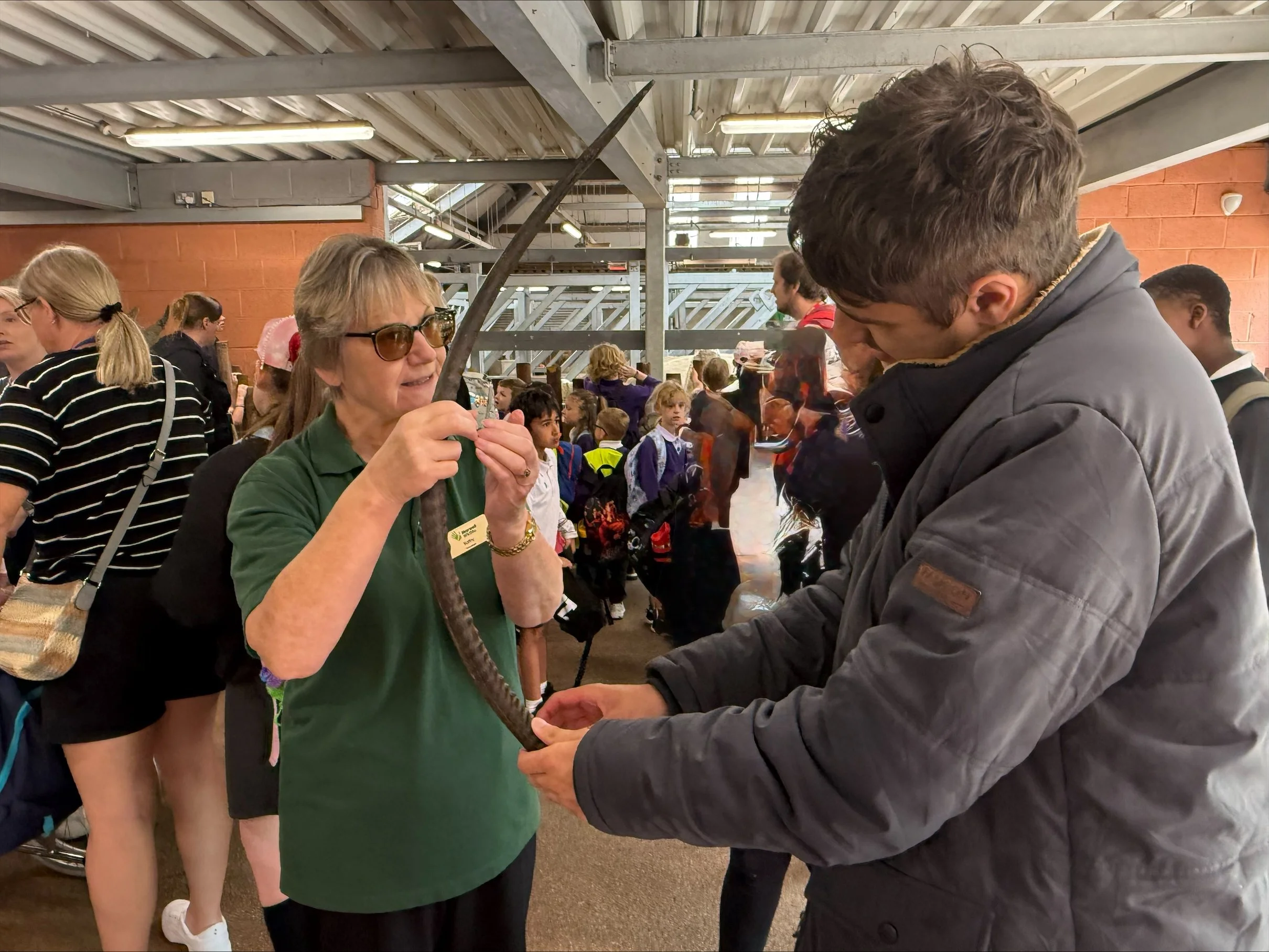 Year 10 - Marwell Zoo Visit