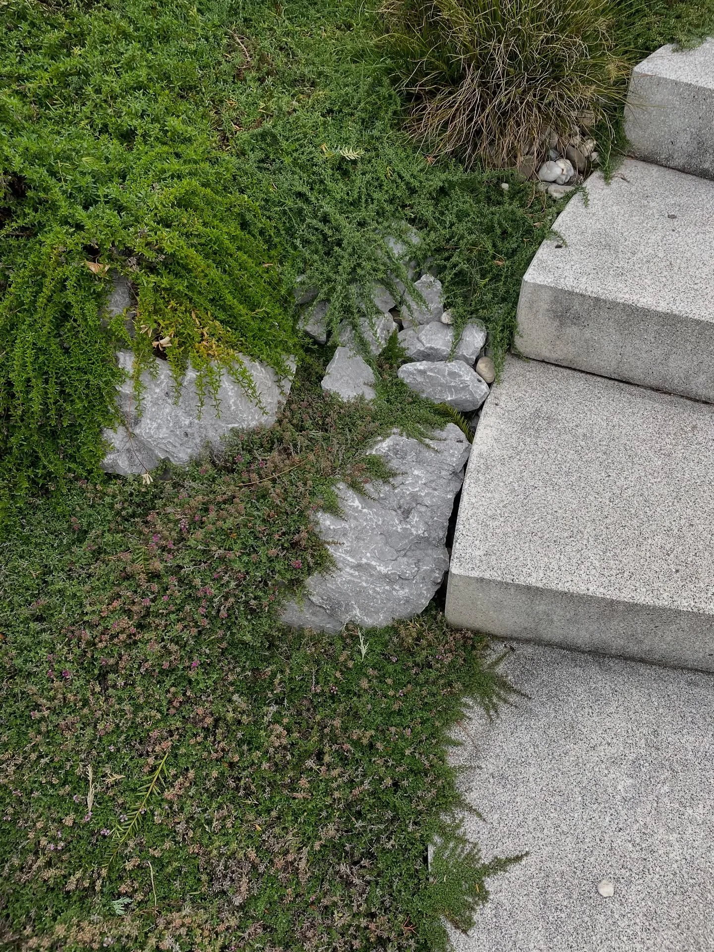 Wenn Stein und Pflanzen ineinander greifen, wird aus Struktur Lebendigkeit – Gartengestaltung, die Räume formt.
Wir gestalten Lebensräume, die Mensch und Natur verbinden: Terrassen zum Verweilen, Sitzplätze für Begegnungen,