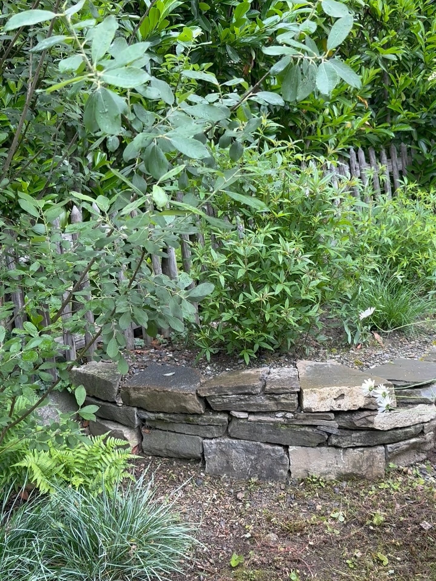 Nat&uuml;rliche H&ouml;hen im Garten &ndash; gestaltet mit Naturstein

In diesem Garten haben wir eine Trockensteinmauer aus recyceltem Naturstein umgesetzt. Sie dient als Terrain&shy;erh&ouml;hung und Abgrenzung und strukturiert den Garten in unters