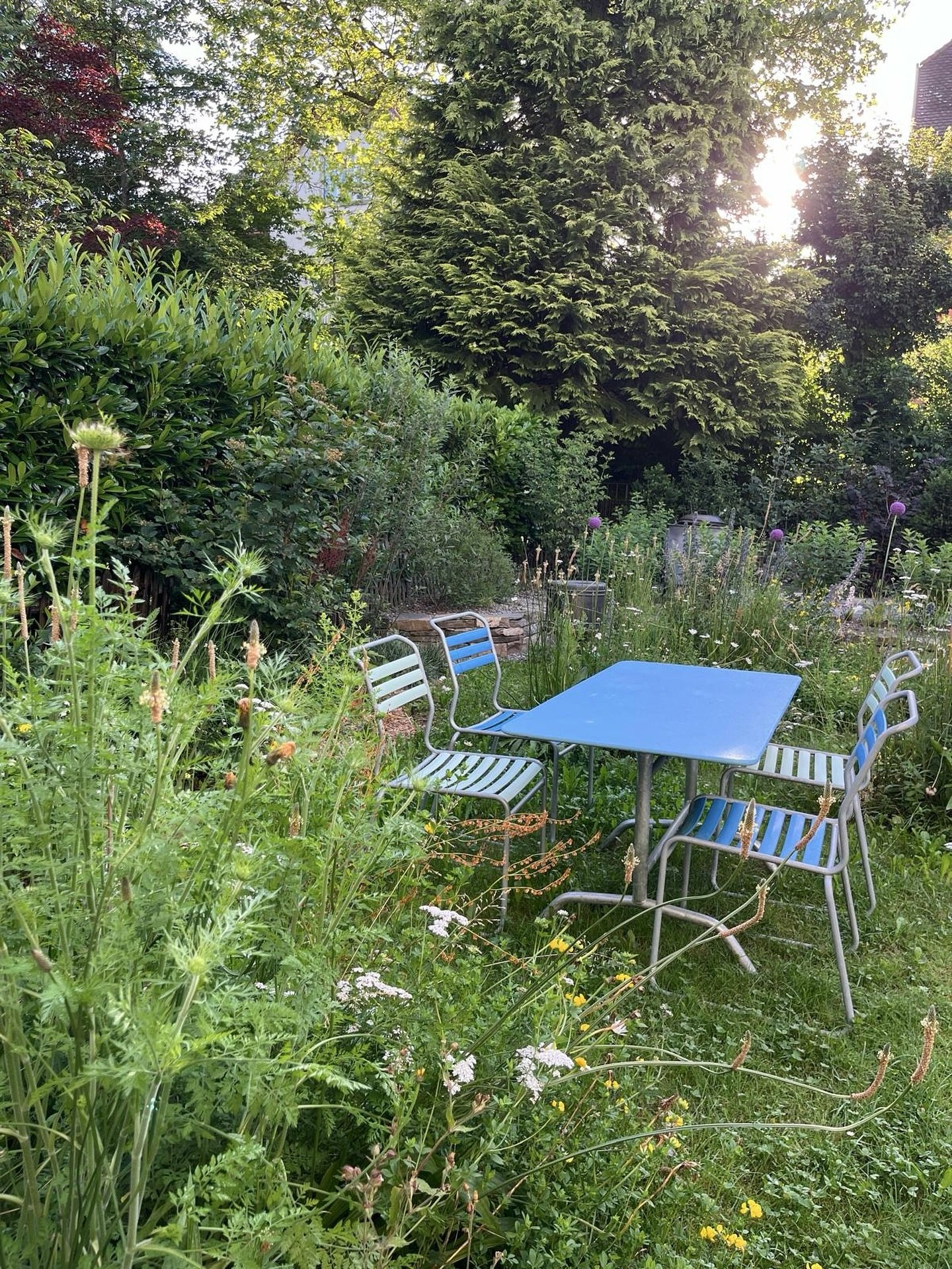 Ein R&uuml;ckzugsort mitten im Gr&uuml;nen

Zwischen sanft wiegenden Gr&auml;sern und bl&uuml;henden Wildblumeninseln entsteht ein Ort, der zum Atemholen einl&auml;dt &ndash; ruhig, lebendig und voller Bewegung.
Hier darf die Natur ihren eigenen Rhyt