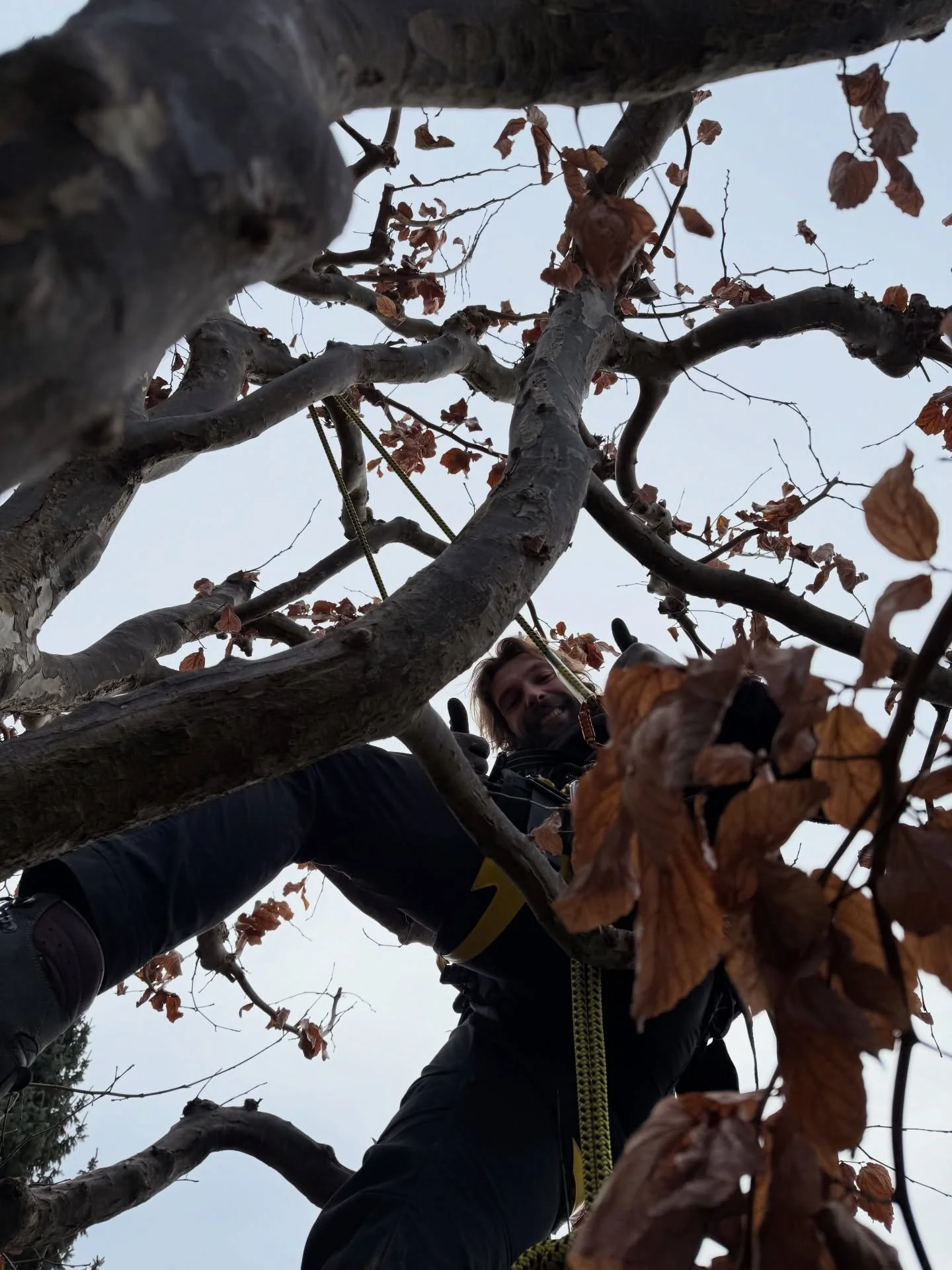 Nach unserer Winterpause im Dezember sind wir wieder zur&uuml;ck &ndash; mit viel Energie, neuen Ideen und spannenden Projekten ins neue Jahr gestartet.
Nach einem Monat Auszeit in einem tropischen Land war der Temperaturunterschied von rund 45 Grad 