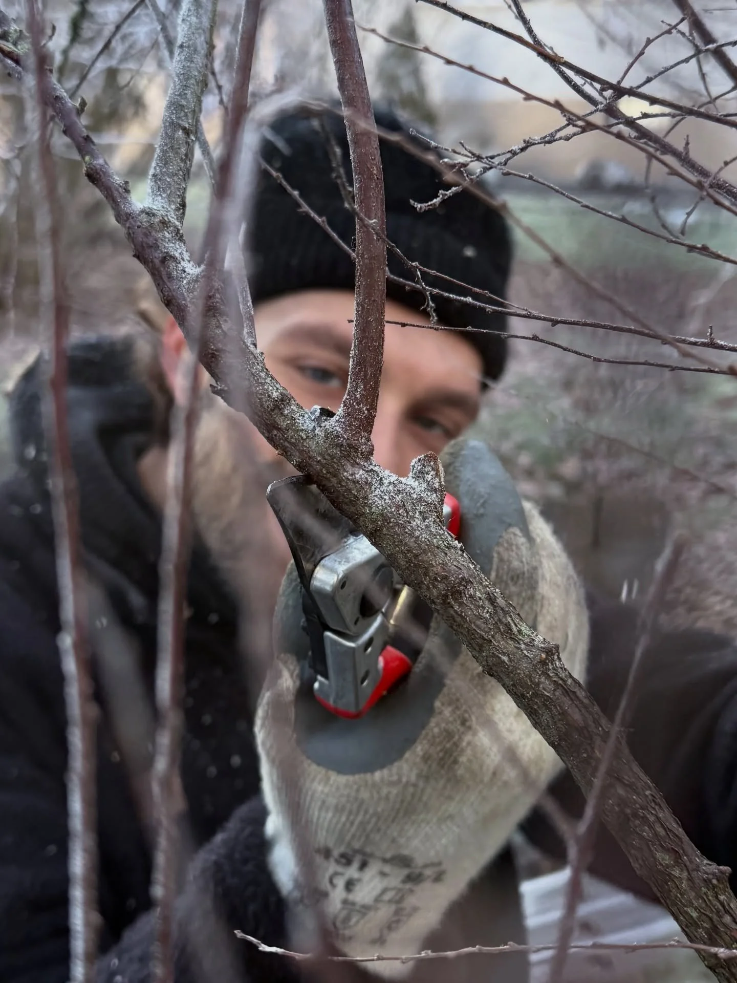 Der Winterschnitt bringt Ruhe in den Garten.
Zeit zum Beobachten, zum Verstehen und zum bewussten Entscheiden.
Was st&auml;rkt die individuelle Pflanze? Was darf gehen?

Durch gezielte, behutsame Massnahmen werden Struktur, Vitalit&auml;t und langfri