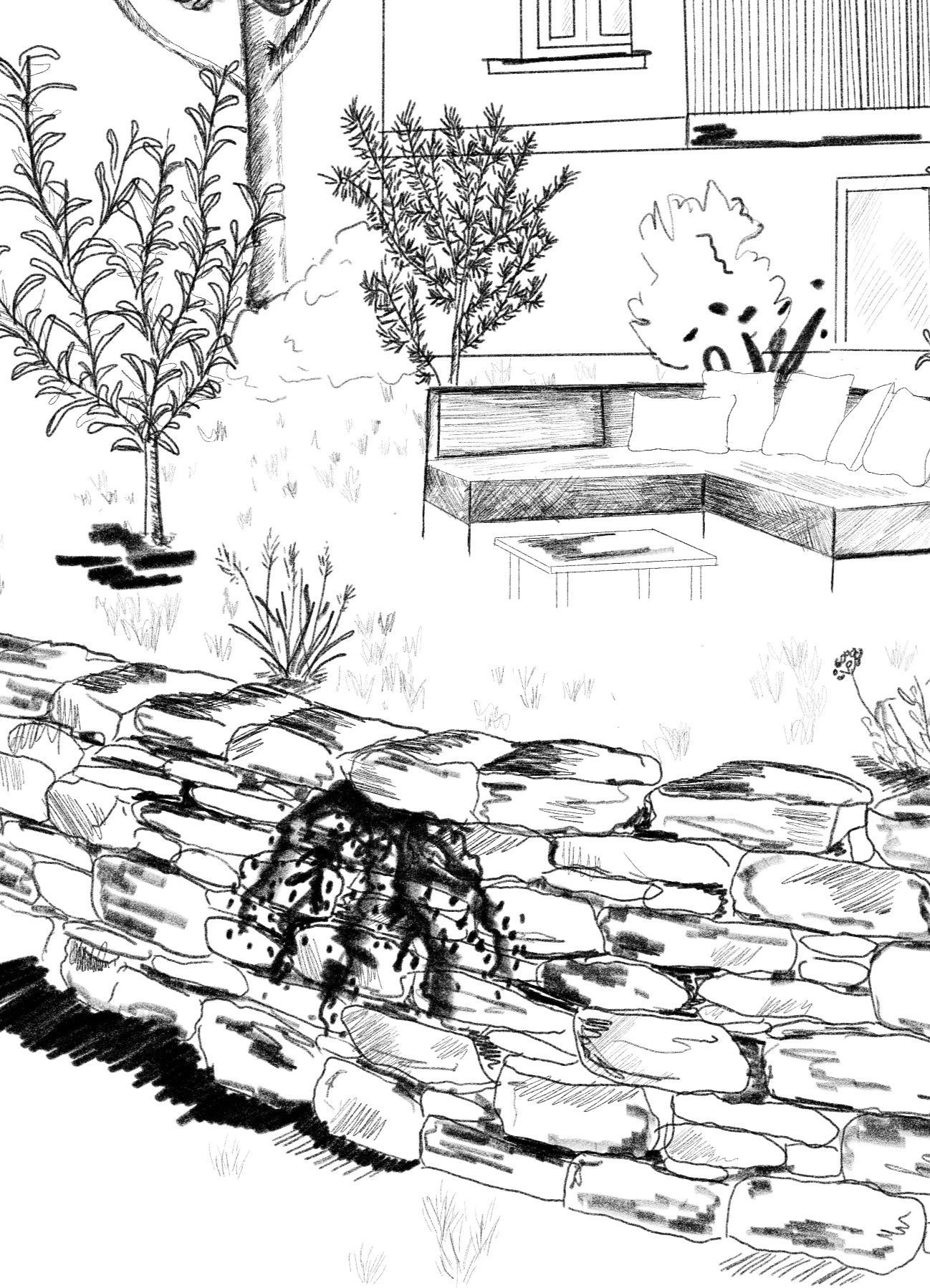 Zeichnung eines Gartenabschnitts mit Trockensteinmauer, Magerwiese und ökologische Gehölzpflanzungen