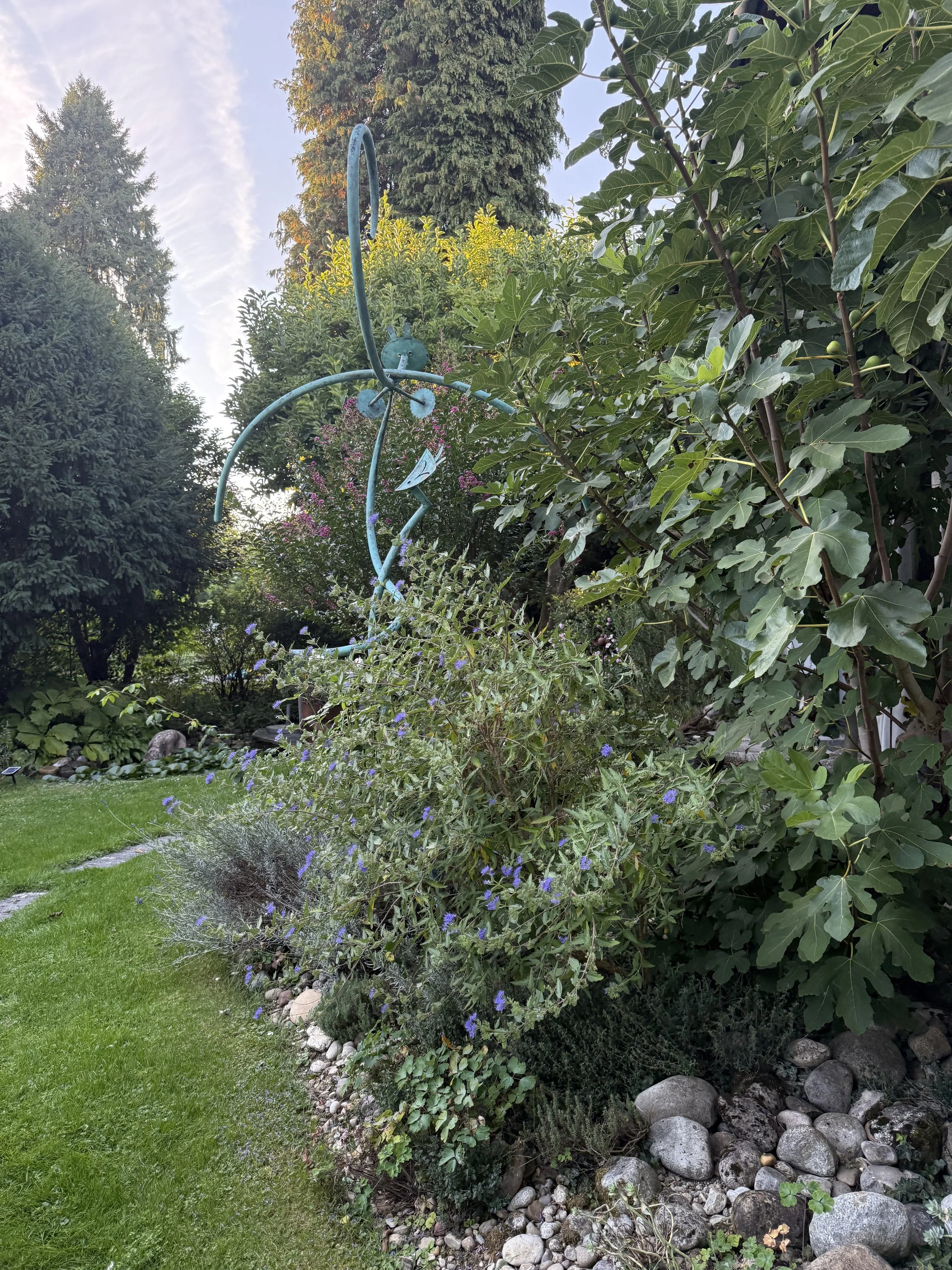 Neu Bepflanzung - Thierry Meyer Gärten - Gartengestaltung Bern