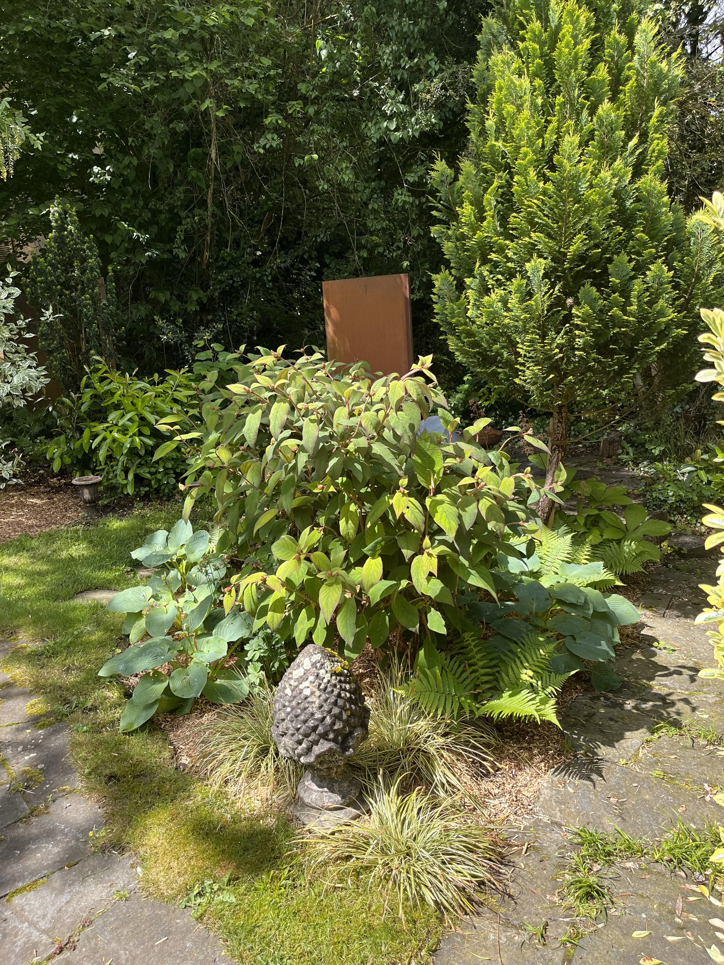 IMG_2065.jpeg