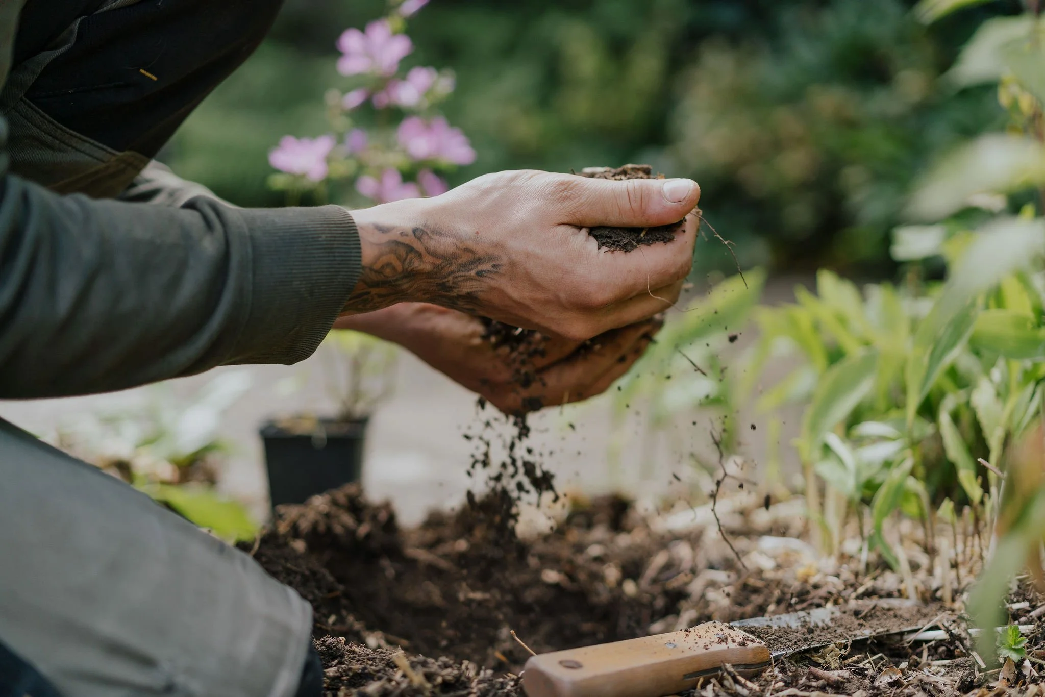 Person pflanzt eine Pflanze im Garten, Erde in den Händen, umgeben von Grünpflanzen.