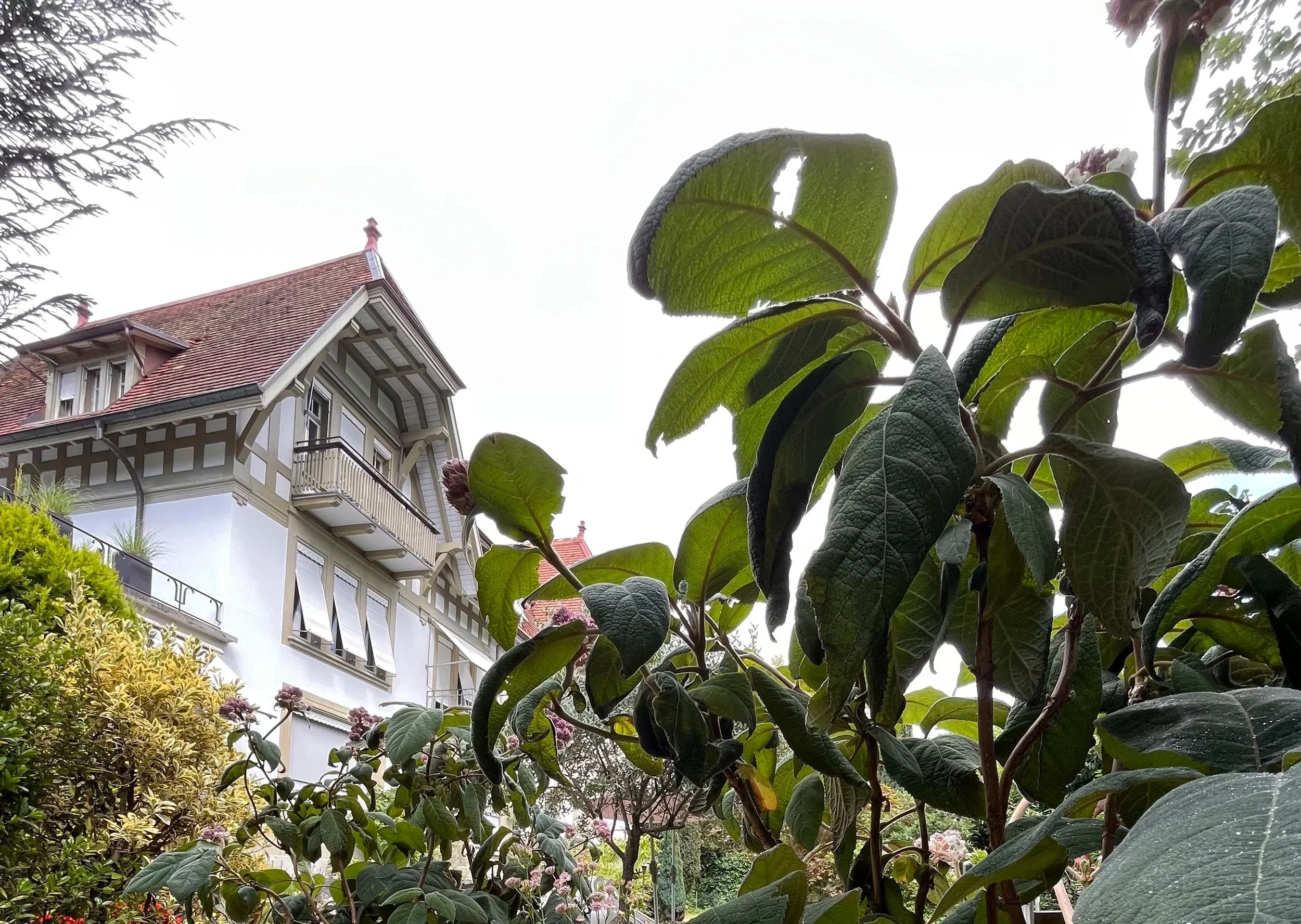Garten inmitten der Stadt Bern. Wir gestalten Urbane Gärten