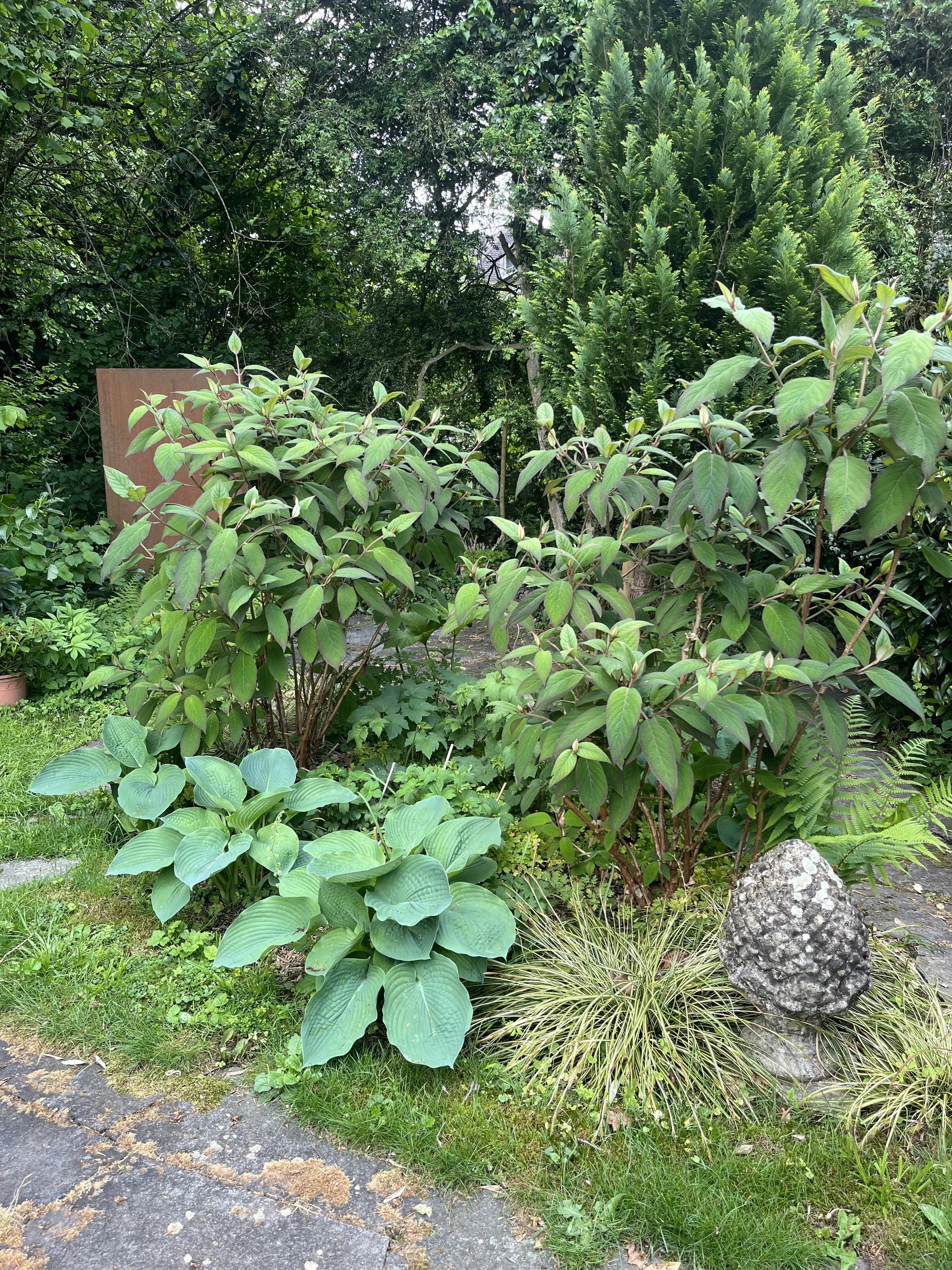 IMG_8811.jpeg