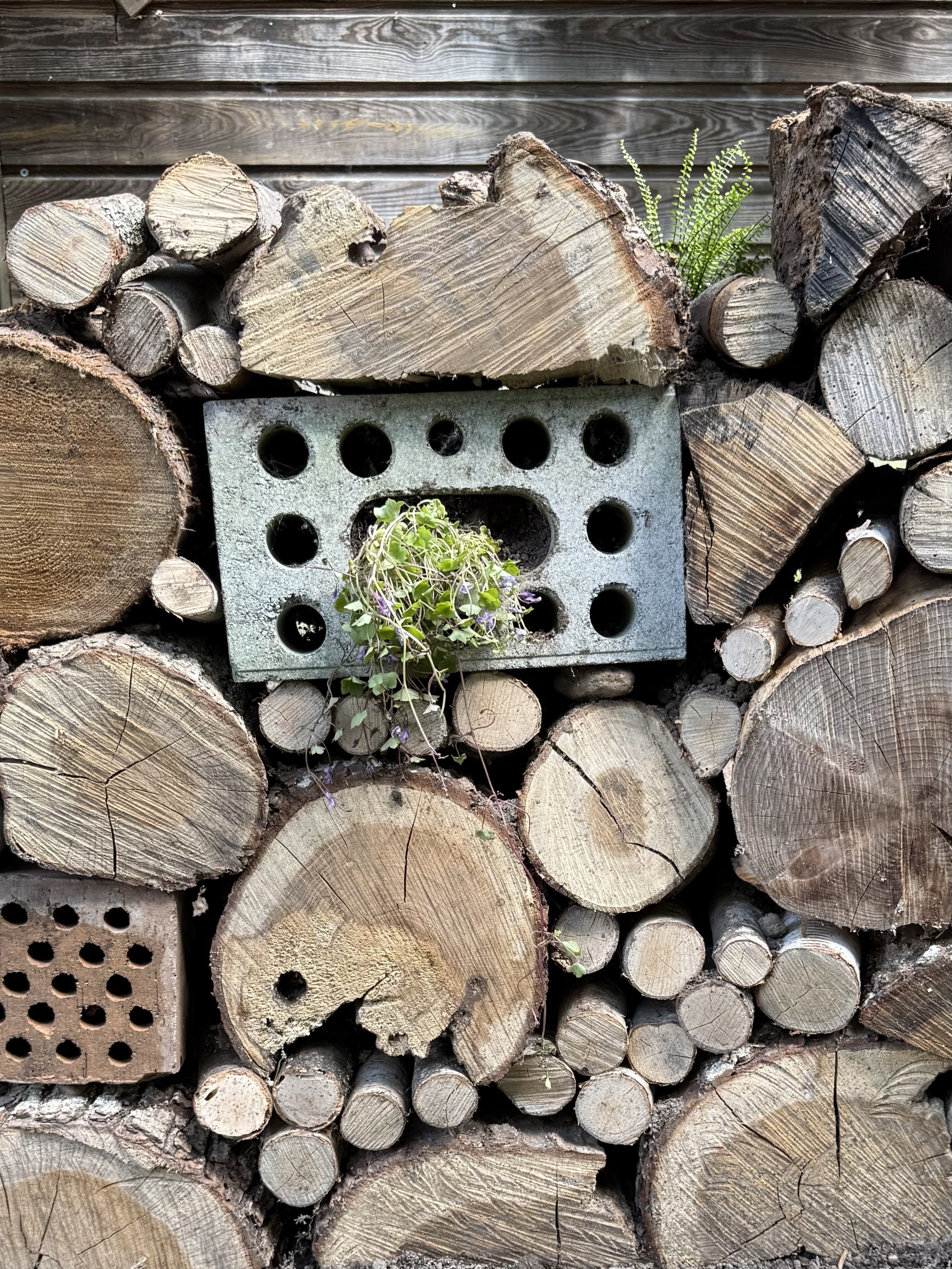 Kleinstrukturen im Naturgarten aus Holz und Stein
