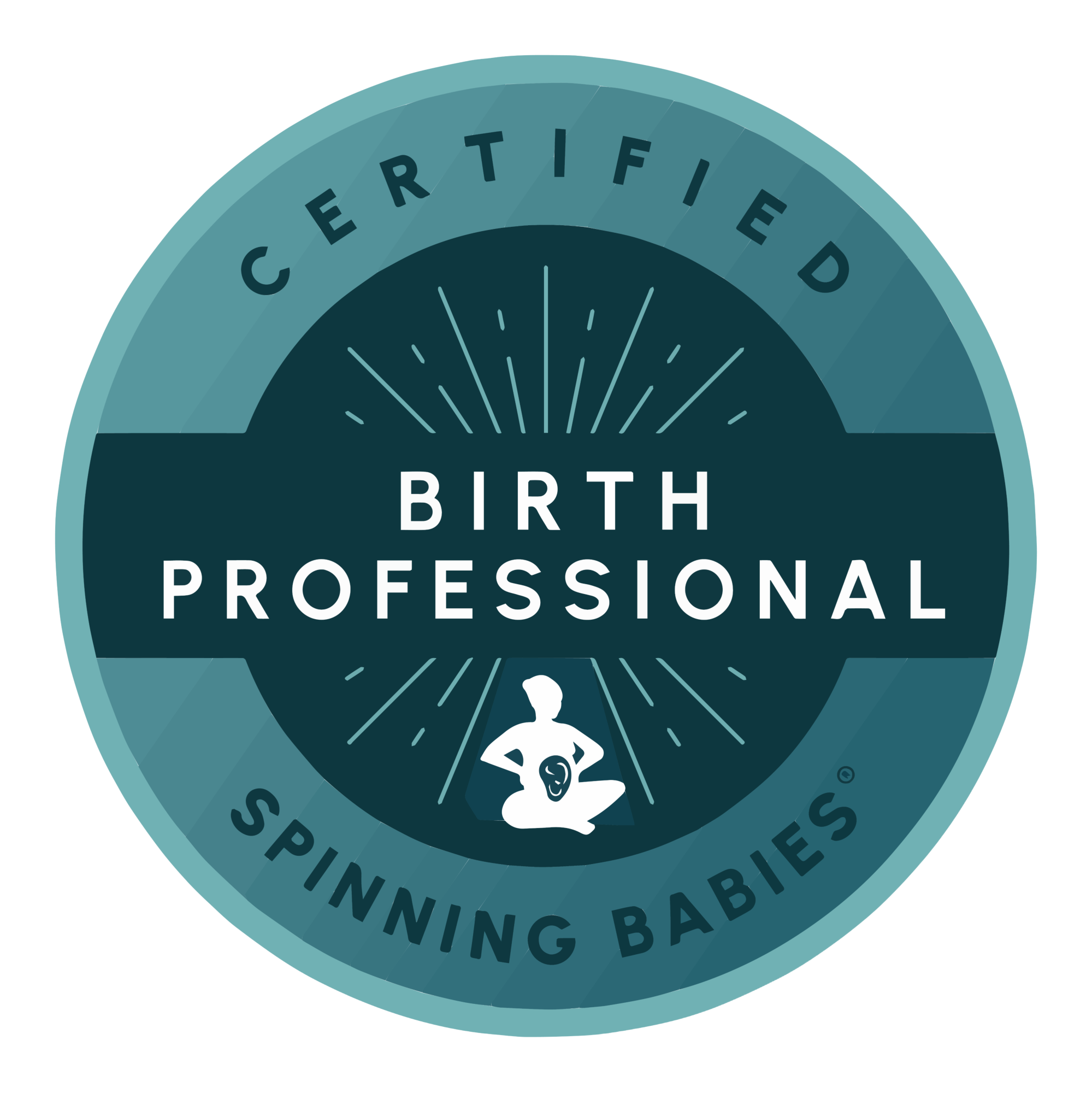 Silhouette of a woman sitting cross-legged with a baby inside her belly, next to the words 'Spinning Babies'.