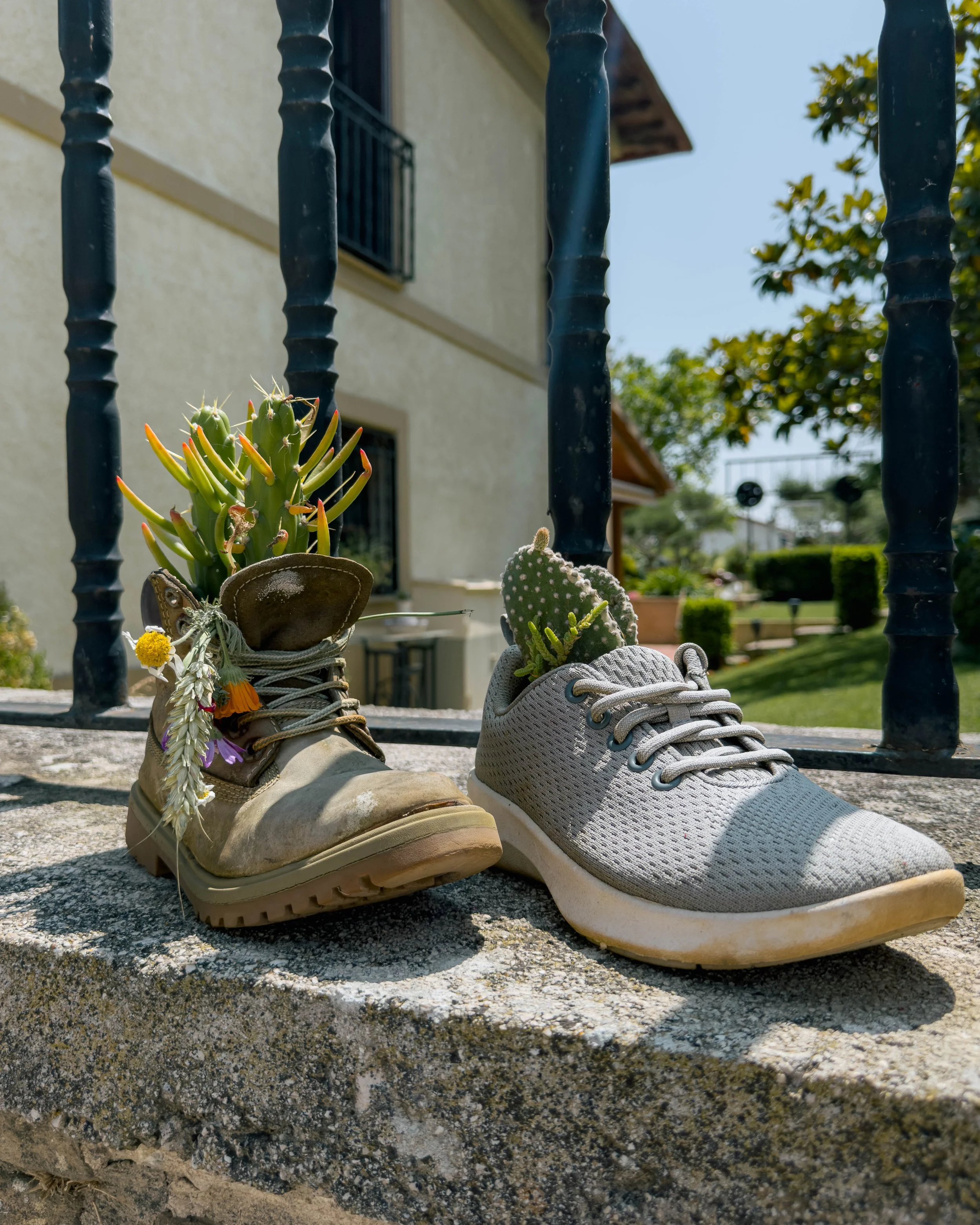 Camino_boots_plants.jpg