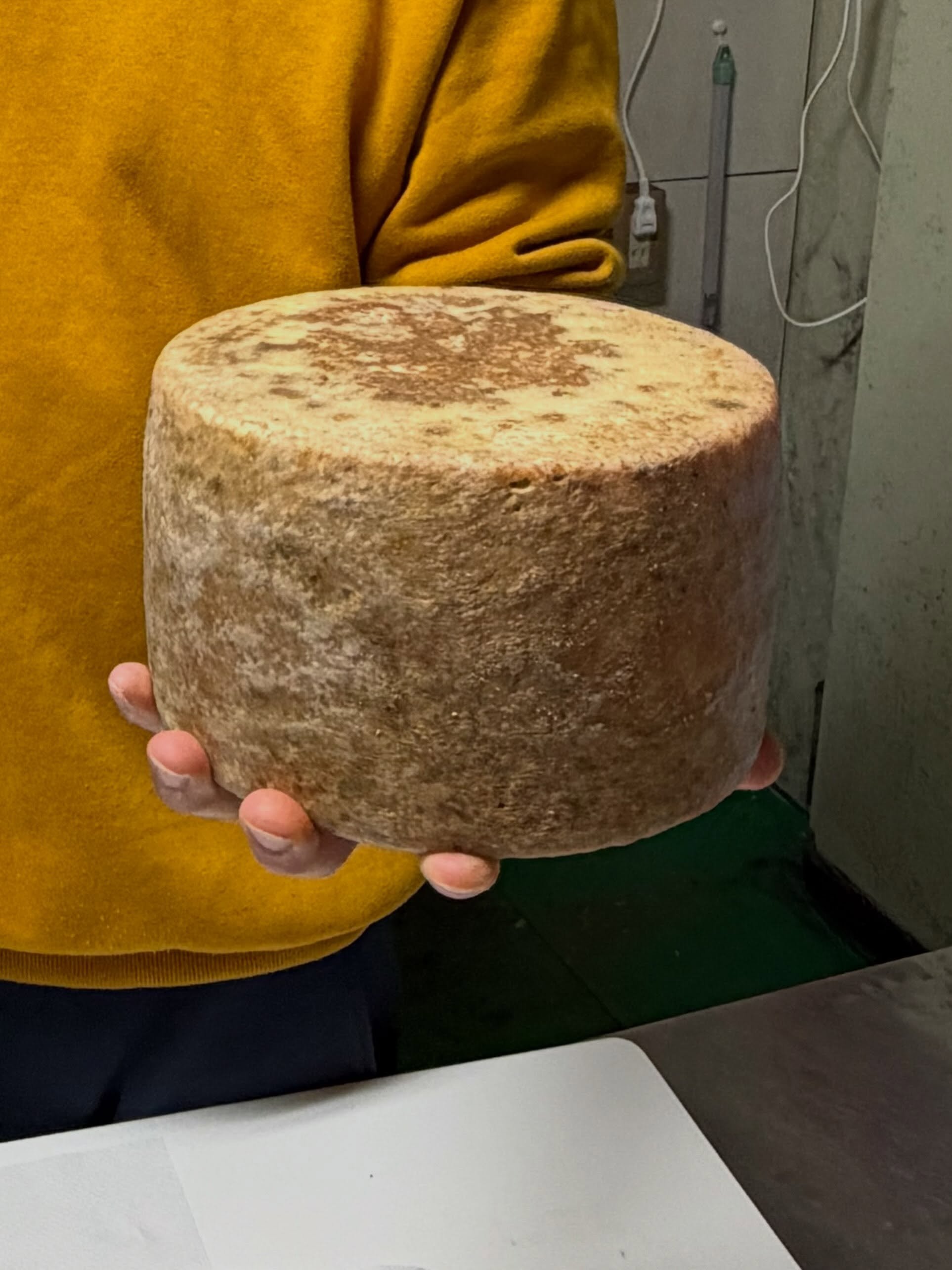 Rare &amp; elusive cheese &ldquo;Aged Yufu - 36+ months&rdquo;  This cheese has got a beautiful story behind it.
Blessed are the cheesemakers.
&bull;
&bull;
&bull;
勝手に、&rdquo;幻のチーズ&rdquo;と呼びたい
日本チーズに出会ってしまいました😍
熟成由布　@yufuin_cheese 

イベントコーディネーター @er