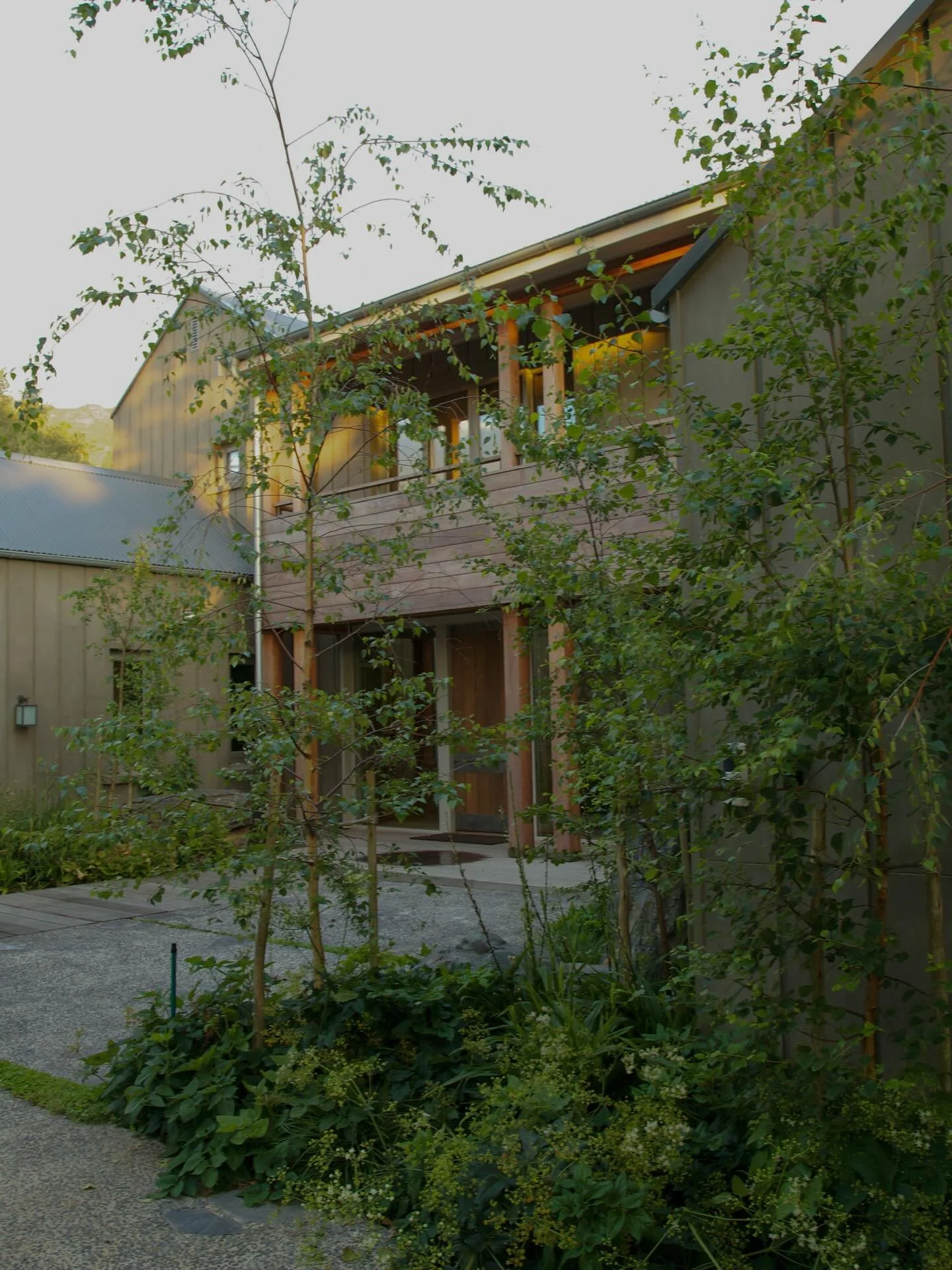 A serene fusion of architecture and landscape that feels effortlessly rooted in place.