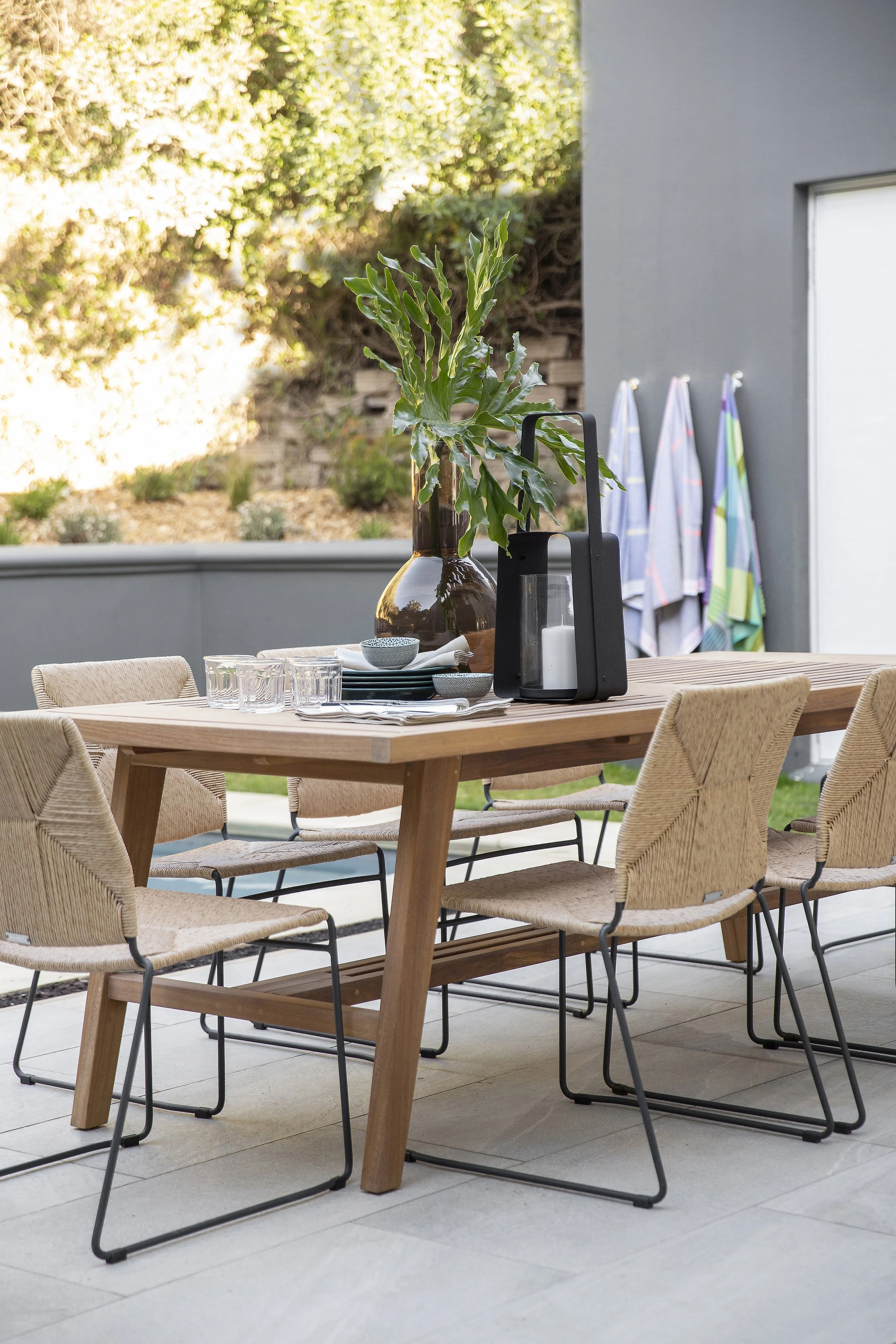 Tiggs  20-11-2019-7734.JPG