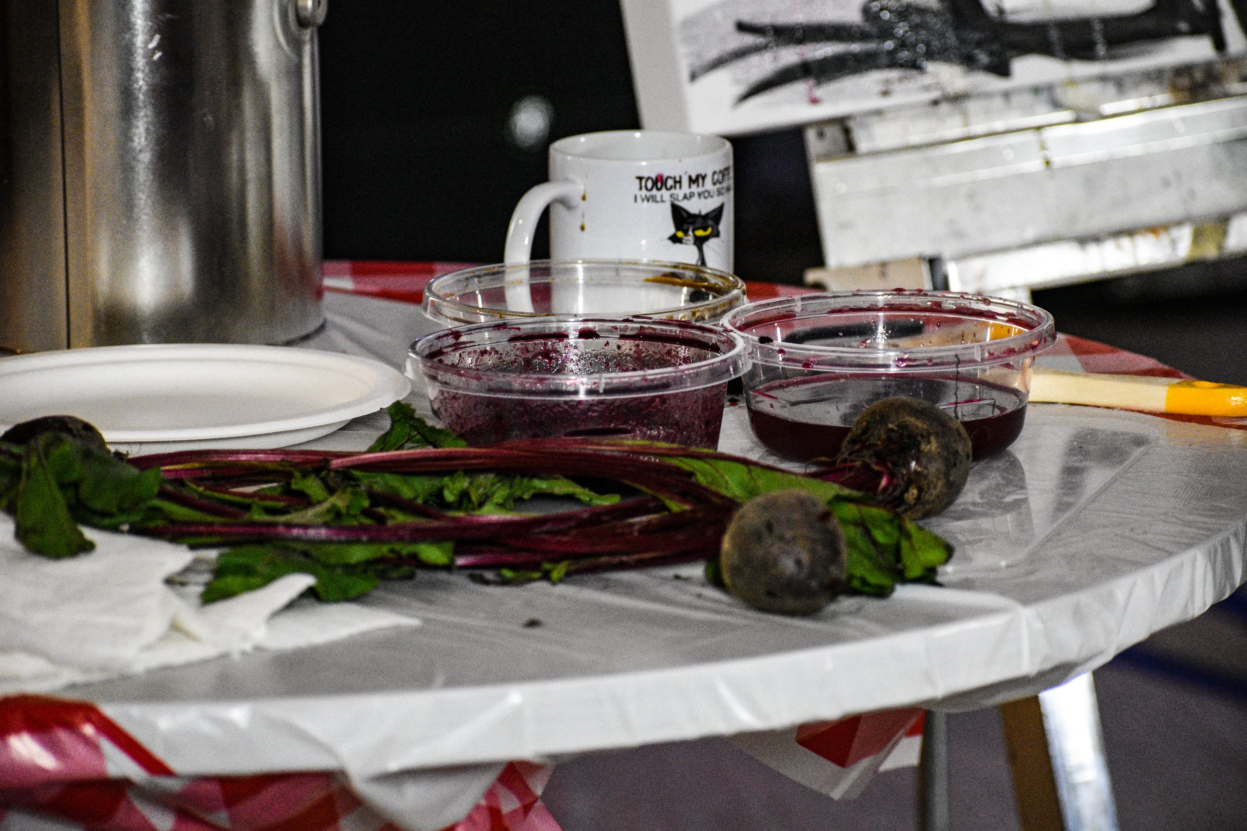 Copy of DSC_0660.jpg