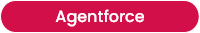 Agentforce Framework