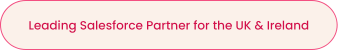 capeMBX is a Leading Salesforce Partner  in Dublin & London