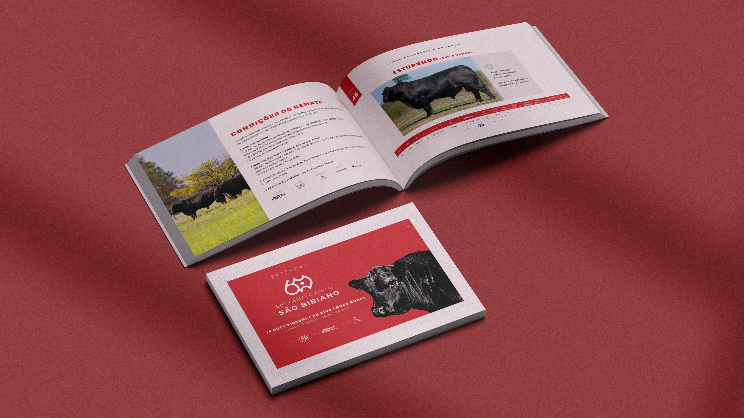SB_CATALOGO_SITE_001.png