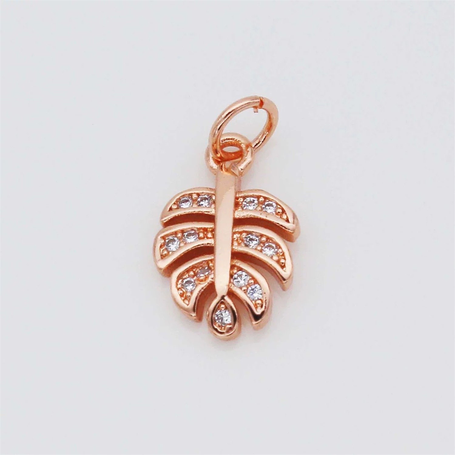 Monstera Leaf Classic Charm