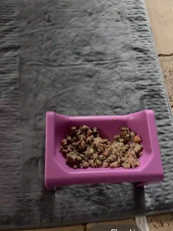 When you run off pure passion, it looks a little different from an every day to day getting up and just going to work. I absolutely love what I do and what I&rsquo;m able to offer families who are wanting to keep their babies versus surrendering I&rs