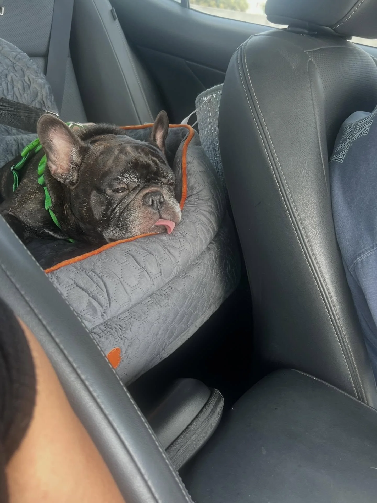 We are in need of items off of Tonka&lsquo;s Amazon wish list if anyone&rsquo;s able to help us out with these purchases it would be truly appreciated / I will have his wish list link located in our stories I would say the number one item on the list