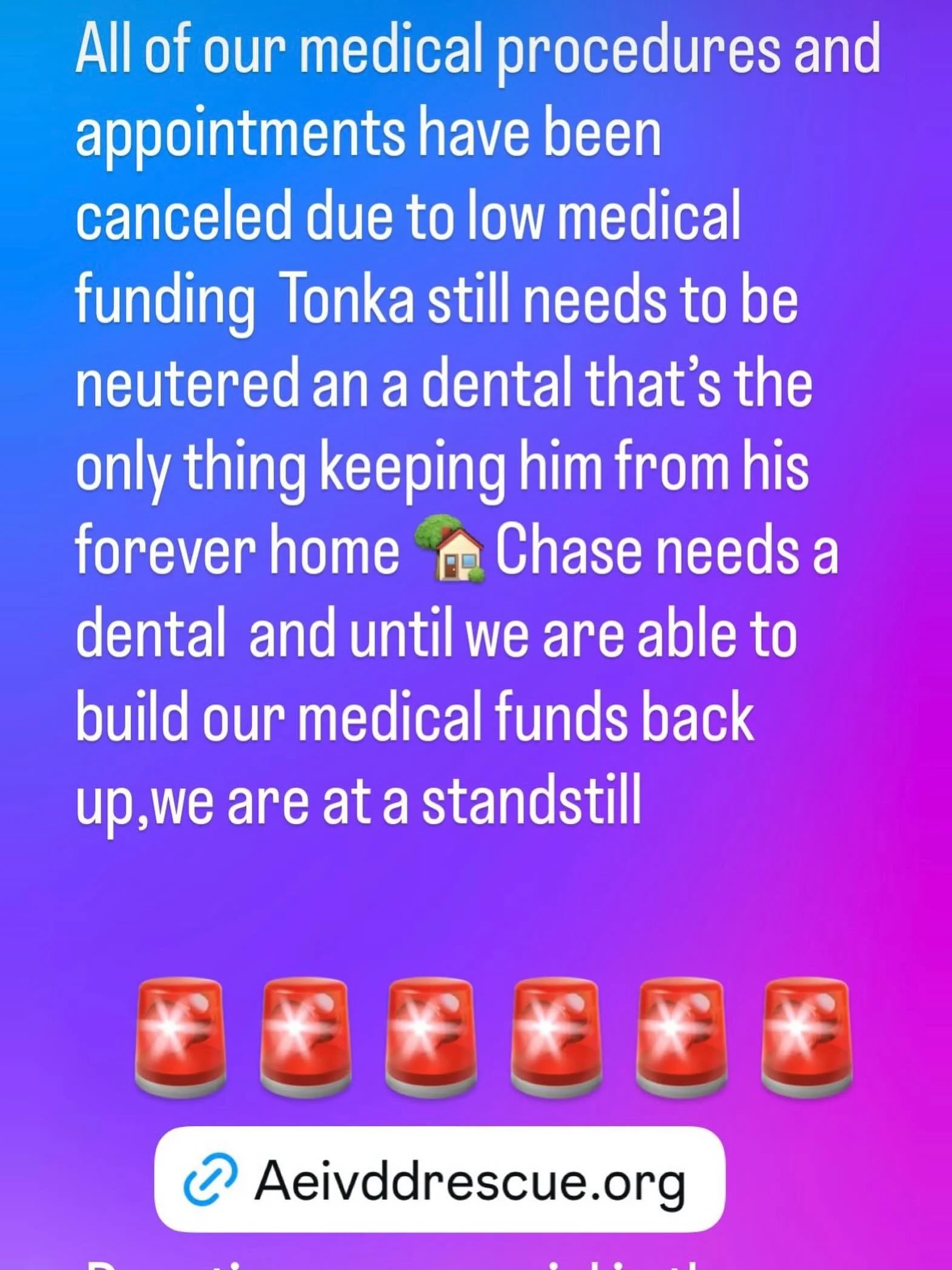 We have never ever ever had to cancel appointments due to no funding unfortunately it&rsquo;s exactly what we&rsquo;re experiencing. Our medical funding is drastically low  we had to cancel all of our medical appointments tonka still needs to be neut