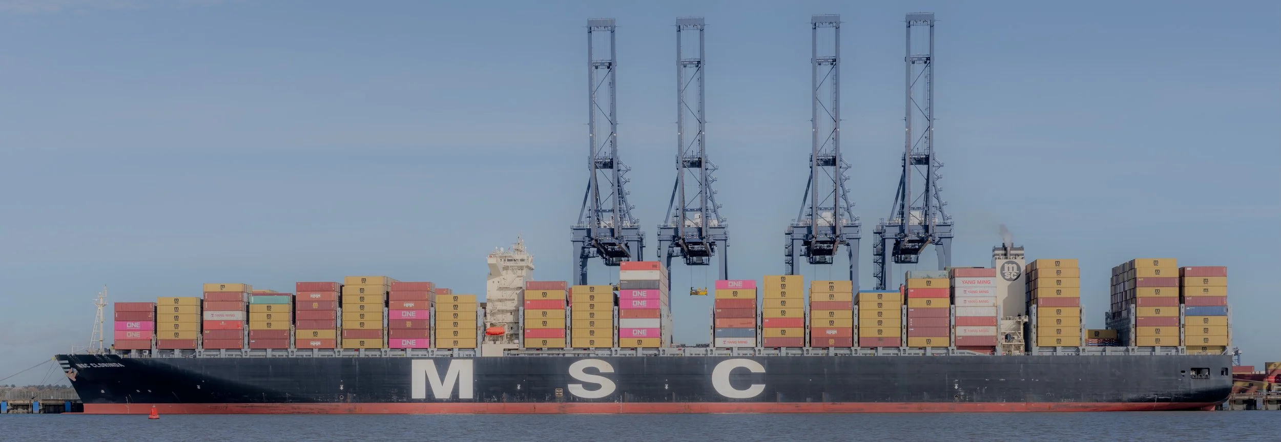 MSC Clorinda I copy.jpg