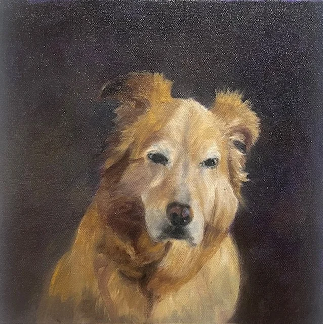 dog pet painting.jpeg