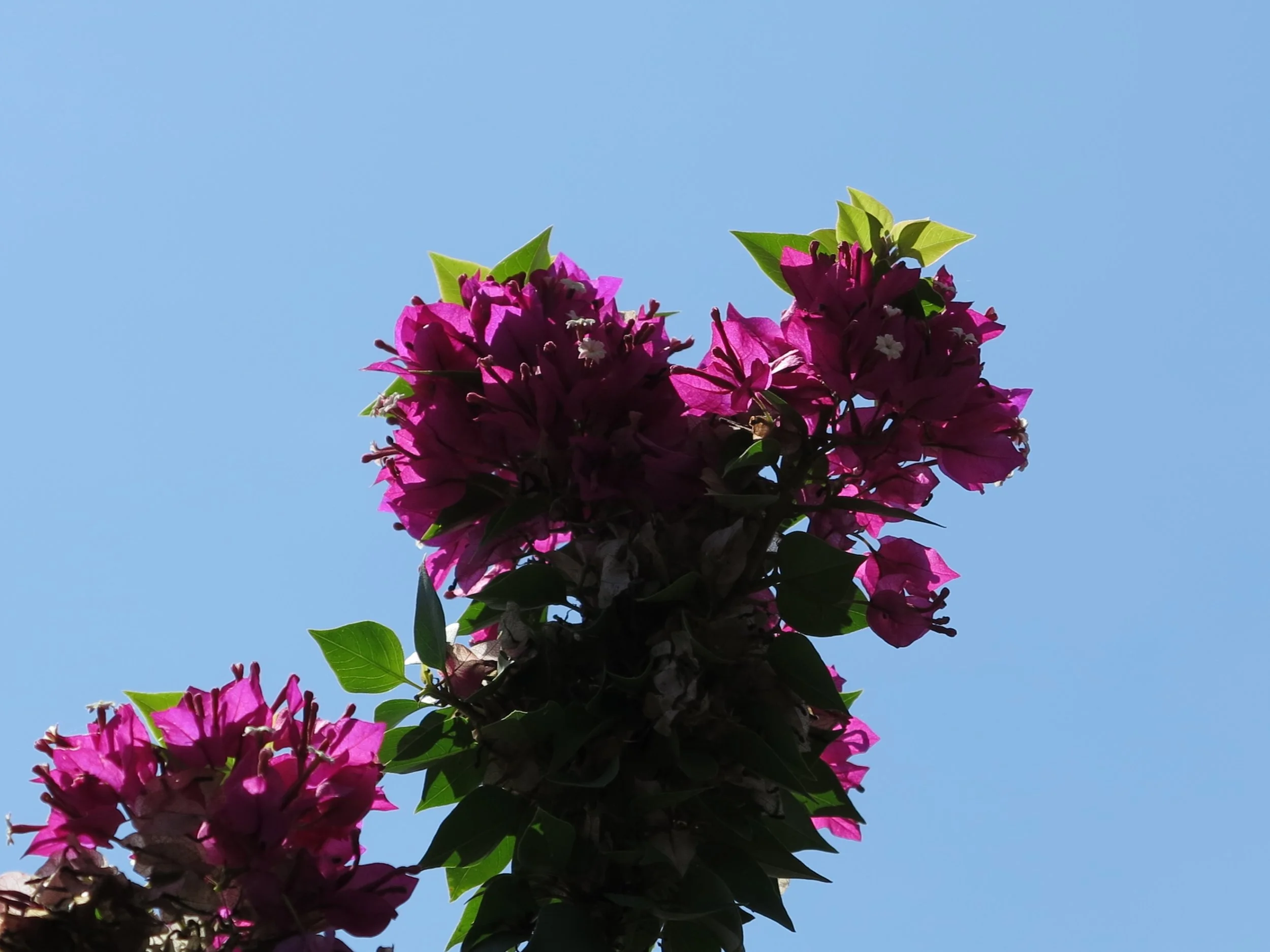 IMG_3561.JPG