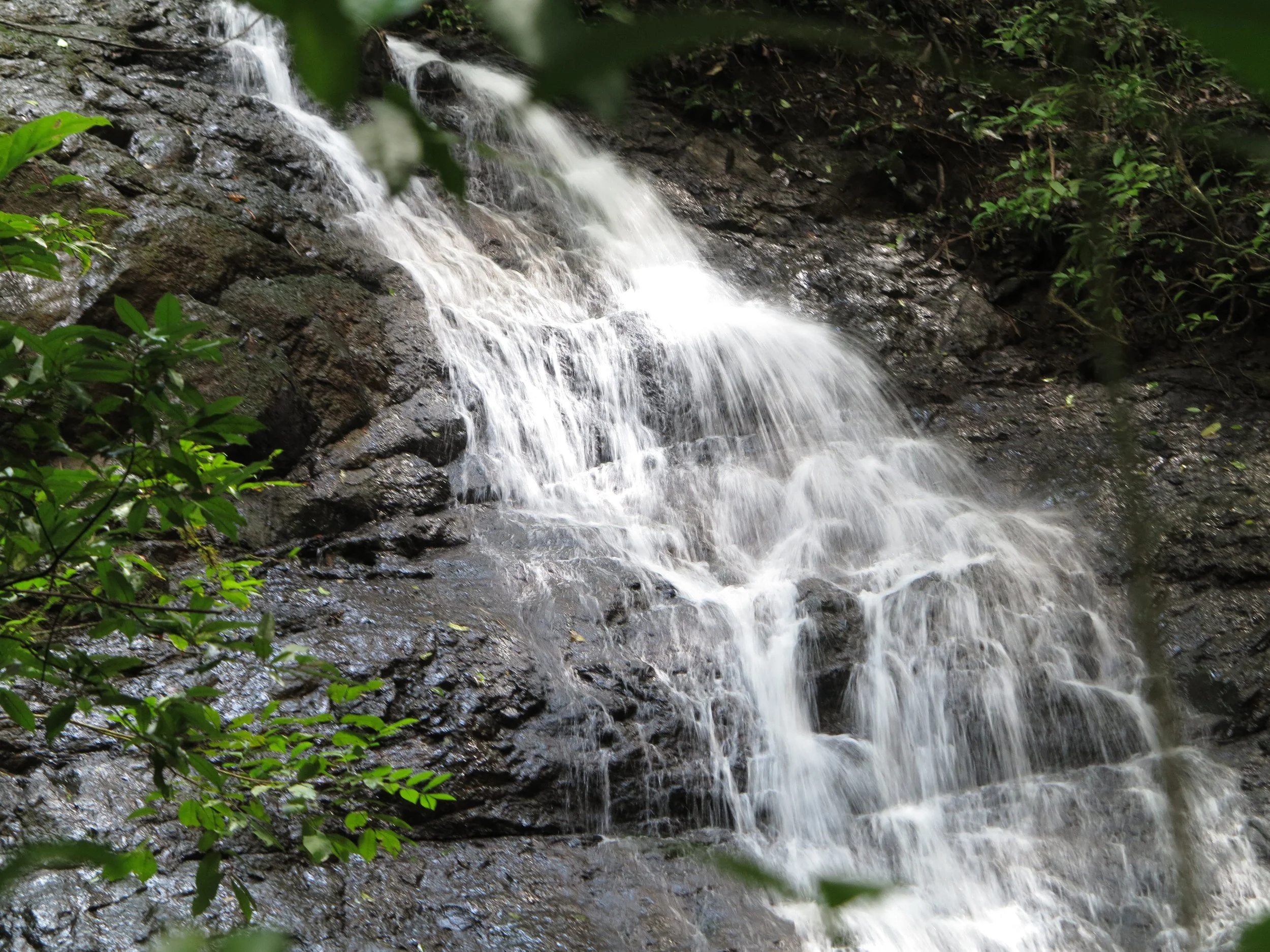 IMG_1660.JPG