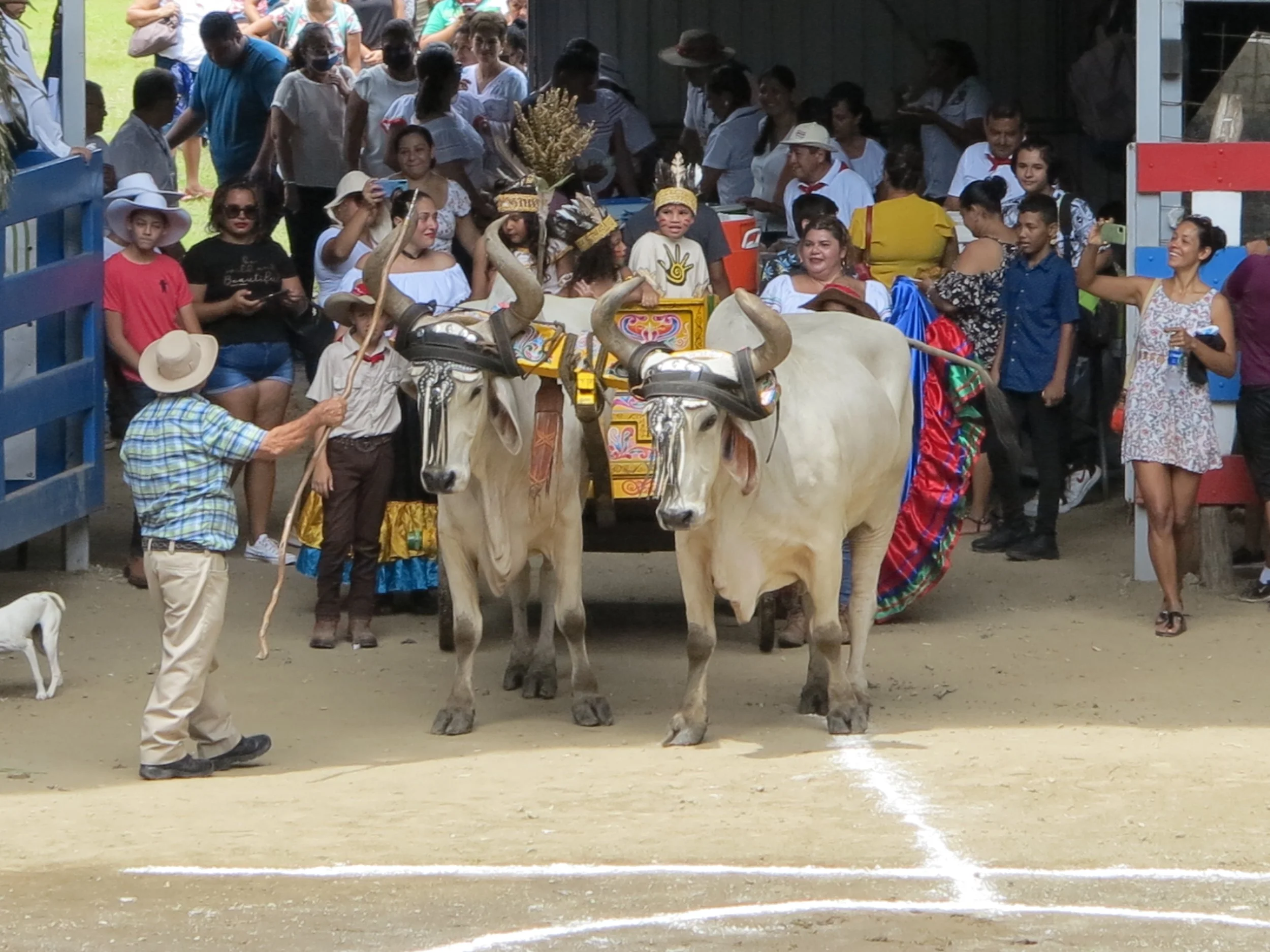 IMG_2286.JPG