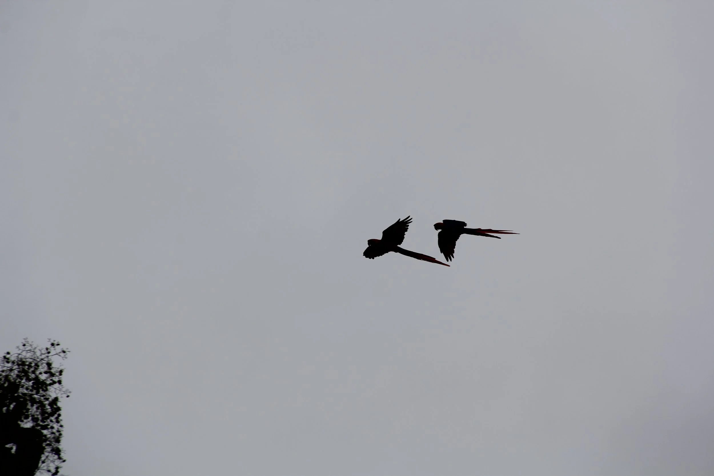 IMG_2263.JPG