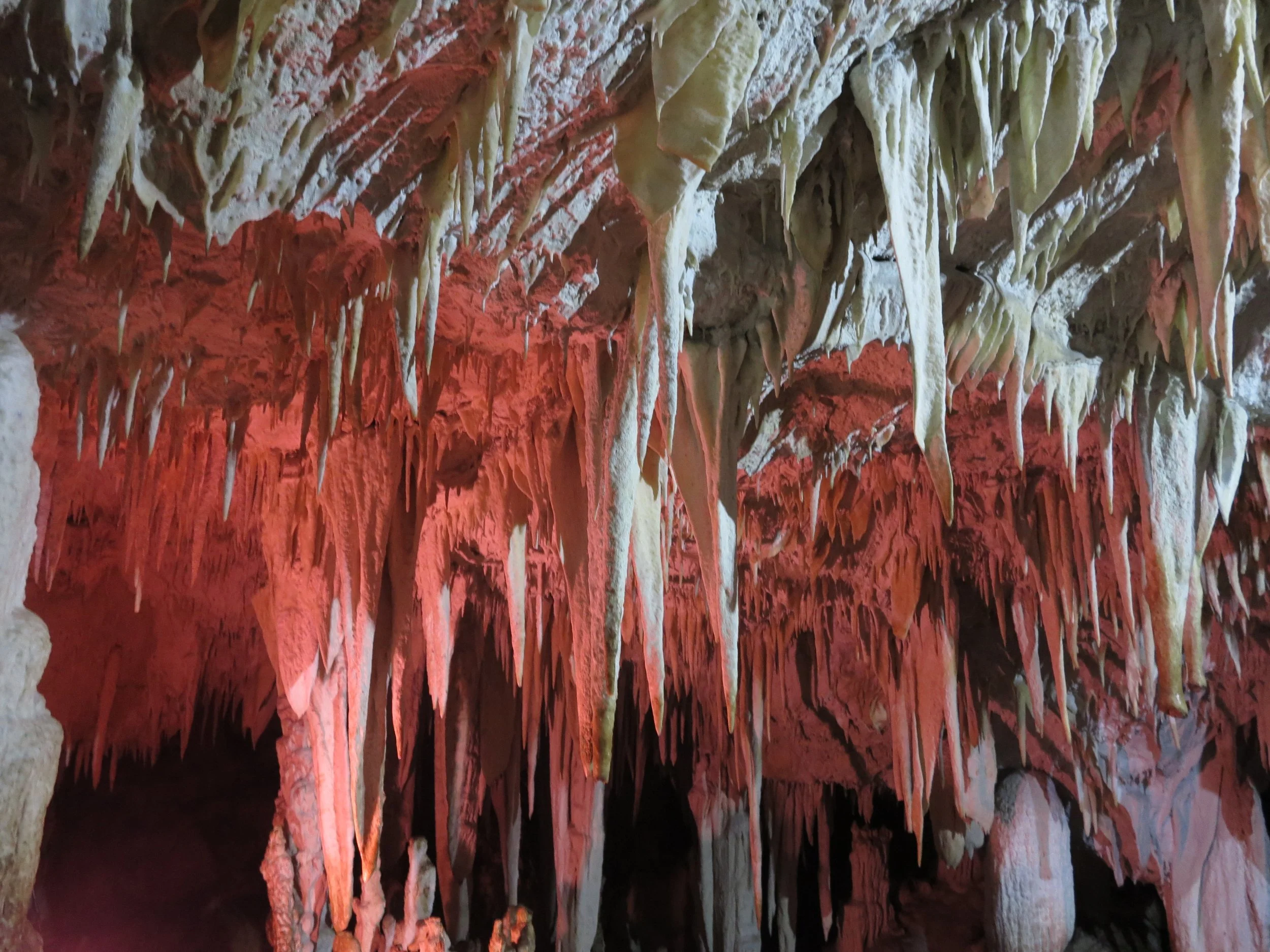 IMG_3328.JPG