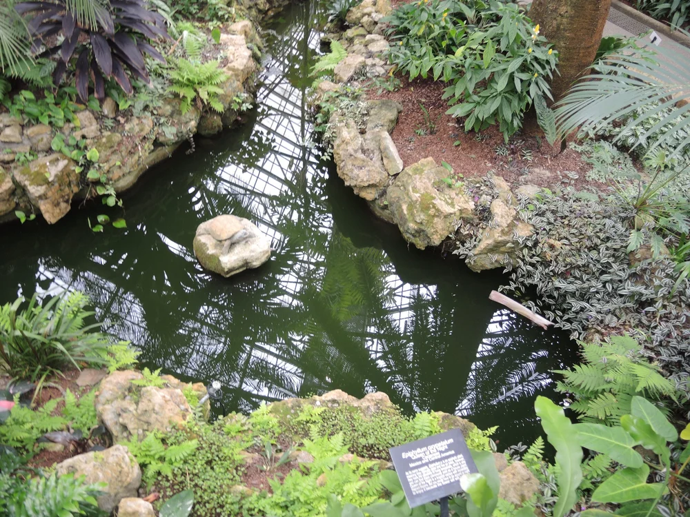 DSCN0090.JPG