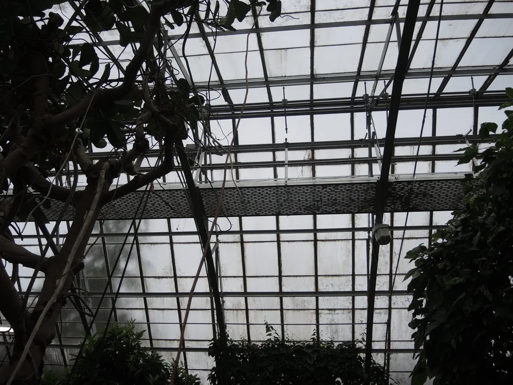 DSCN0102.JPG